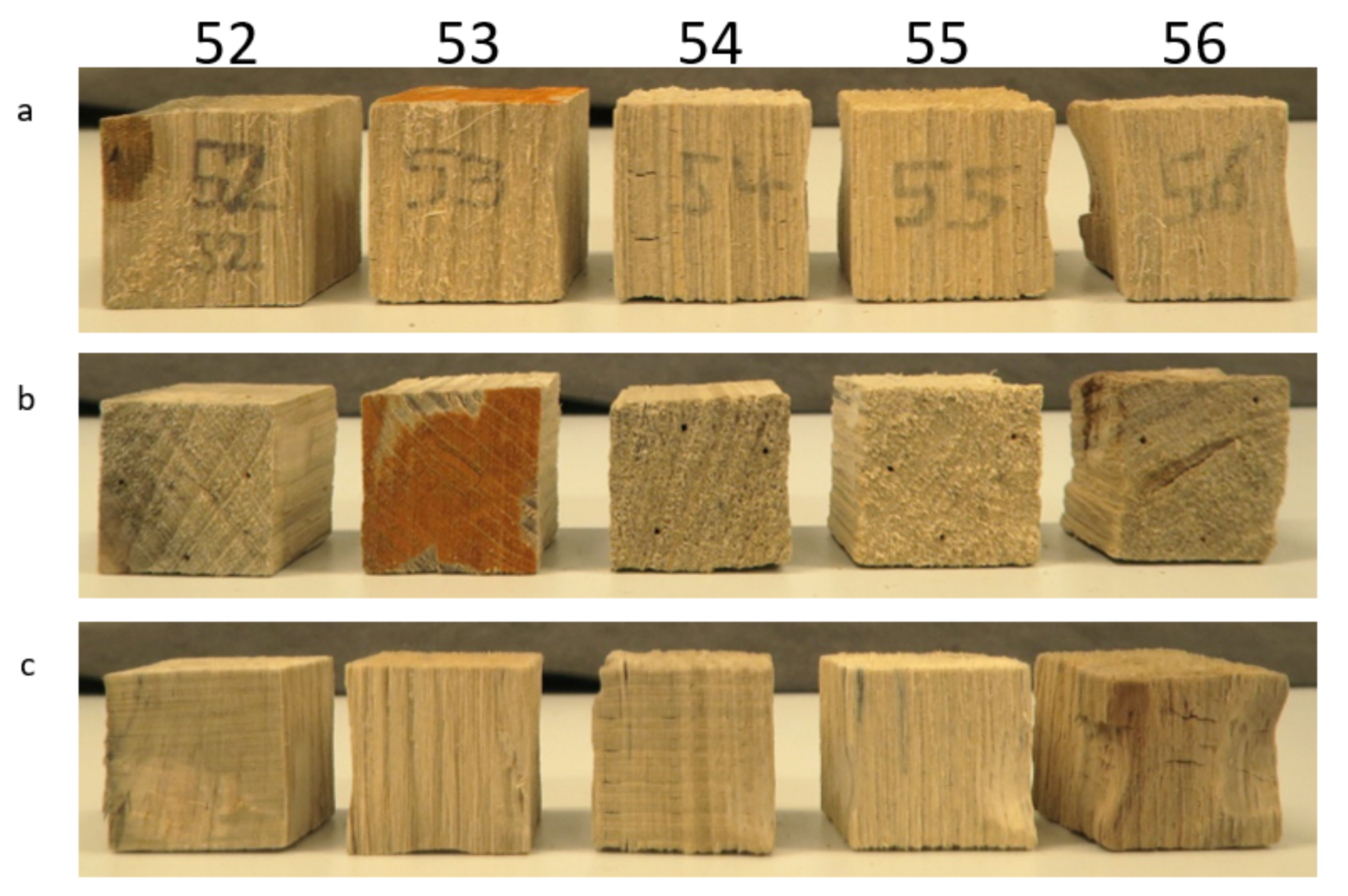 Forests 12 00911 g002 550