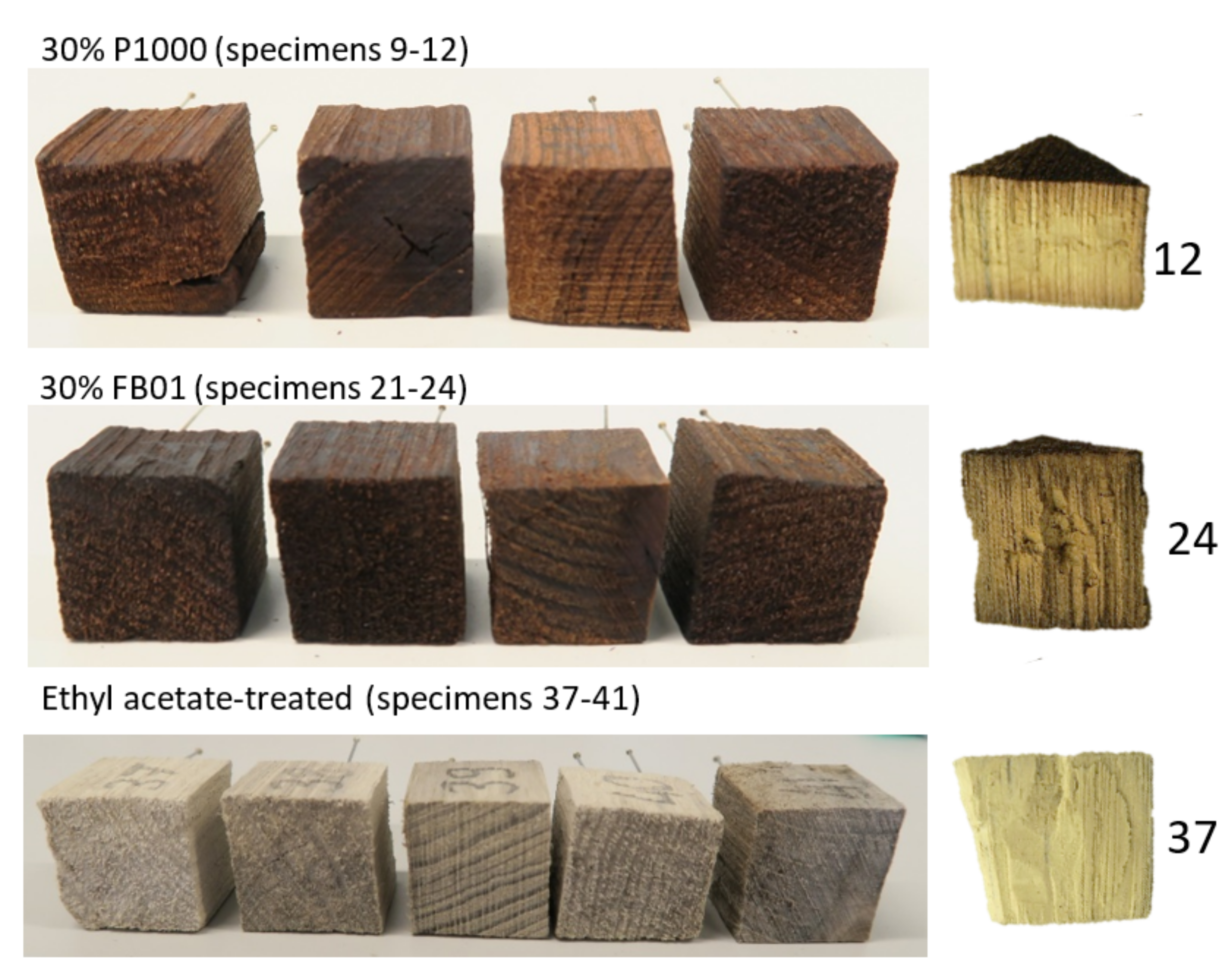 Forests 12 00911 g004 550