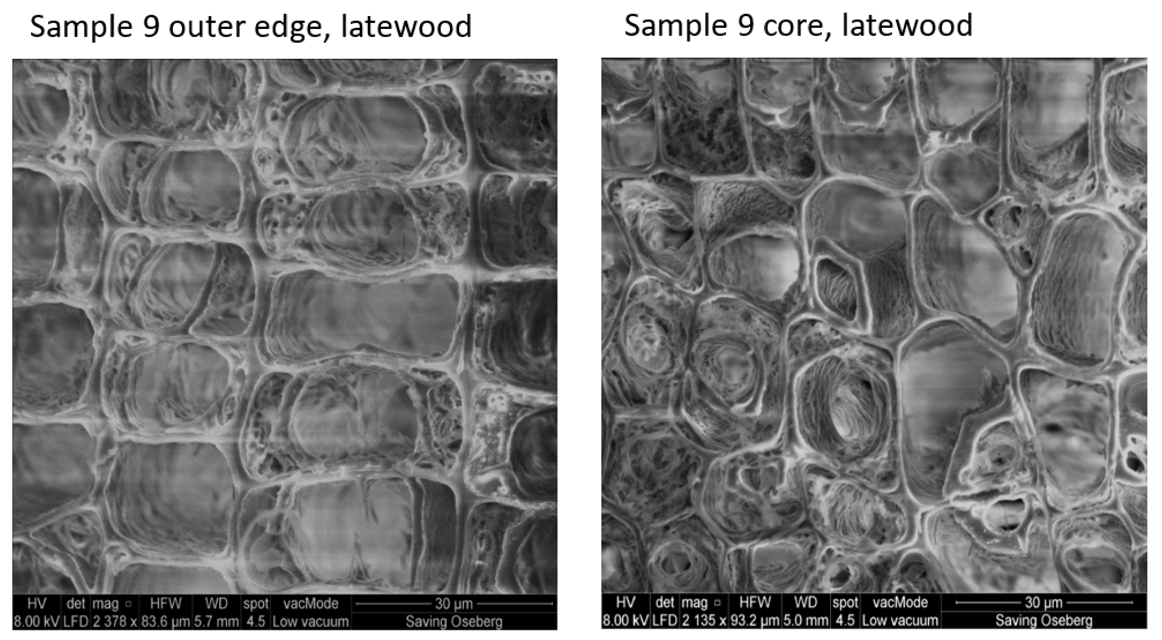 Forests 12 00911 g007 550