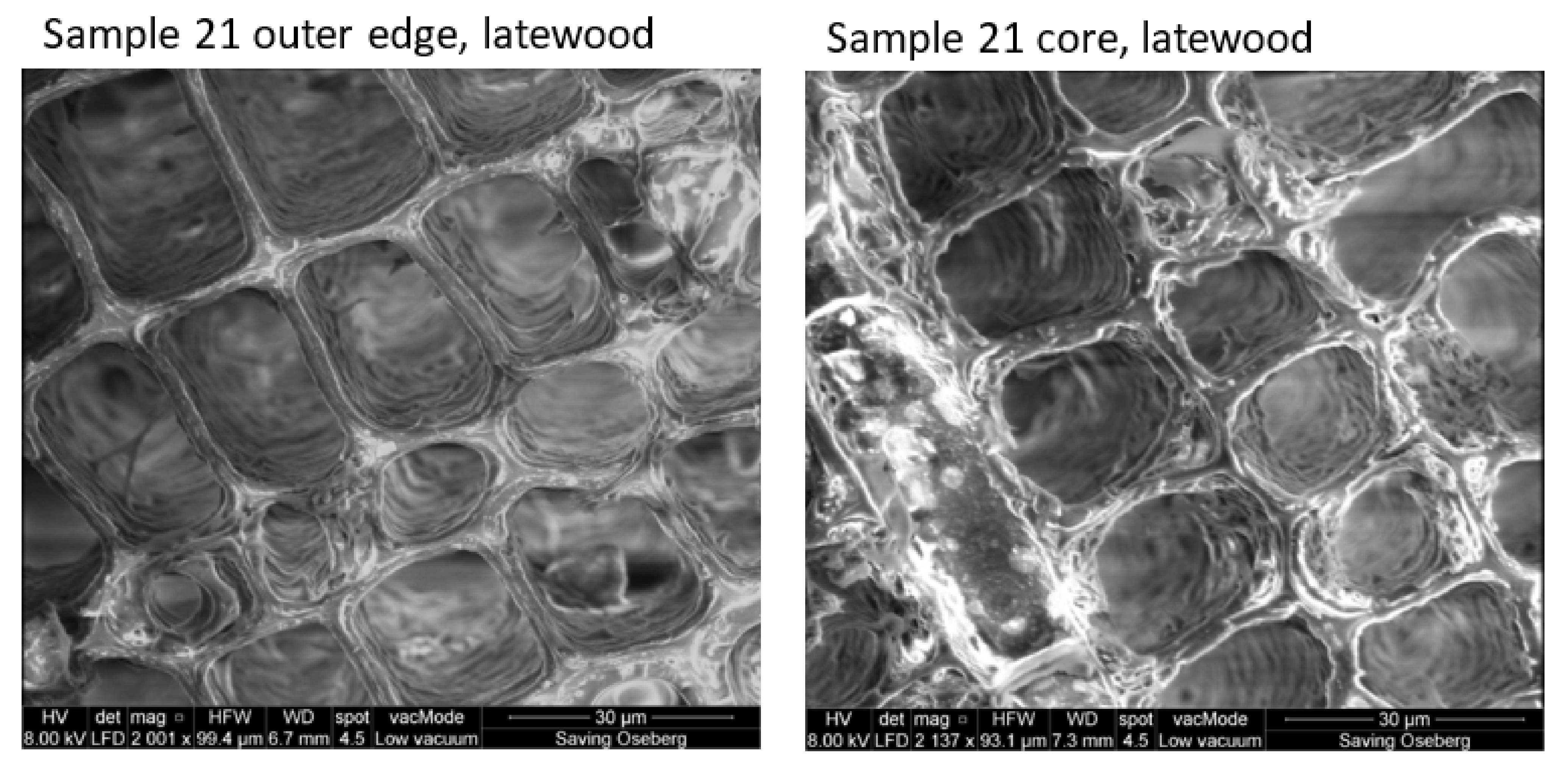 Forests 12 00911 g008 550