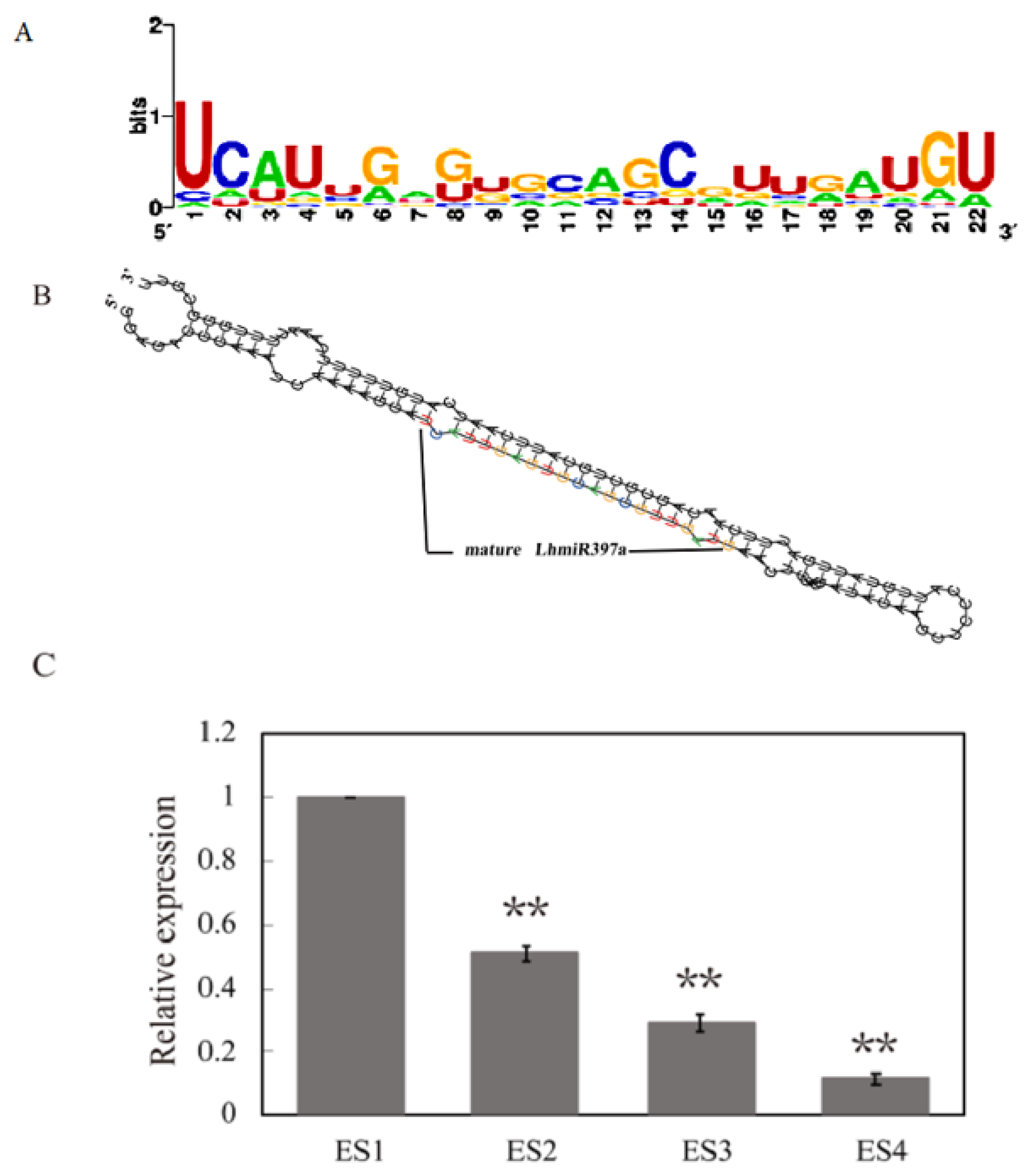 Forests 12 00912 g001 550