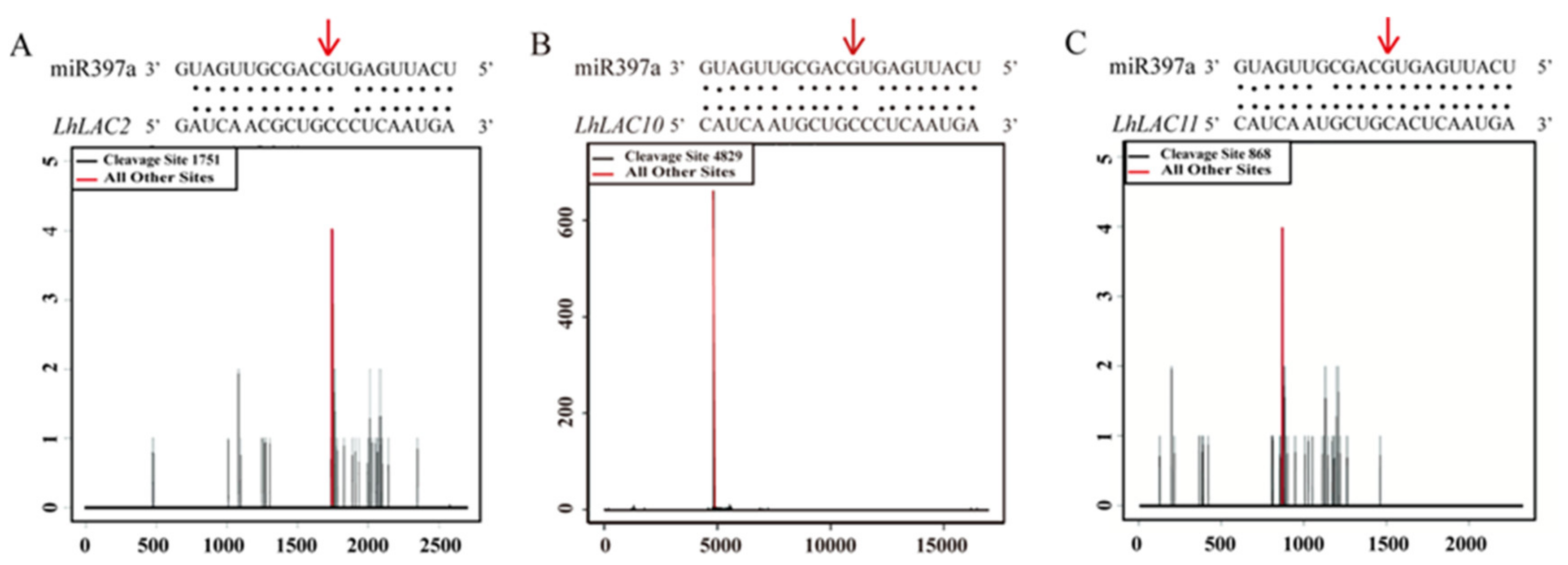 Forests 12 00912 g002 550
