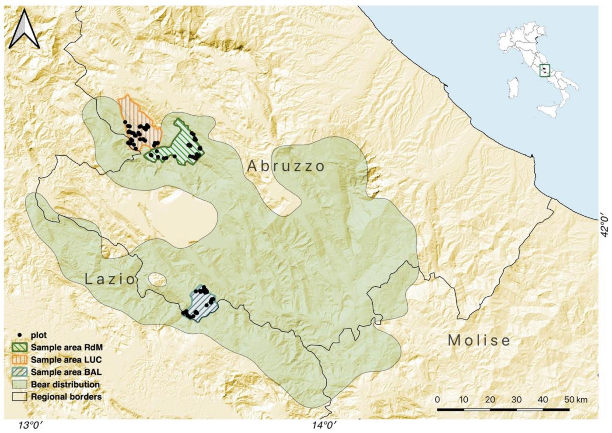 Forests 12 00916 g001