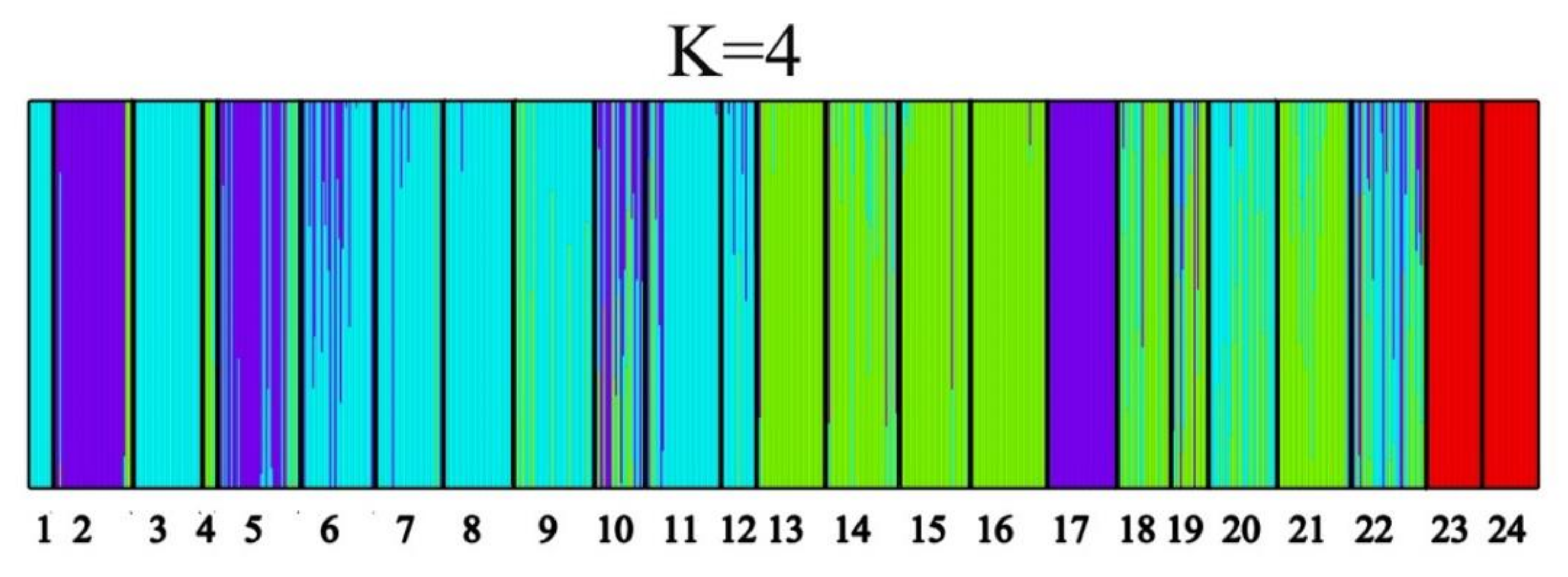Forests 12 00917 g002