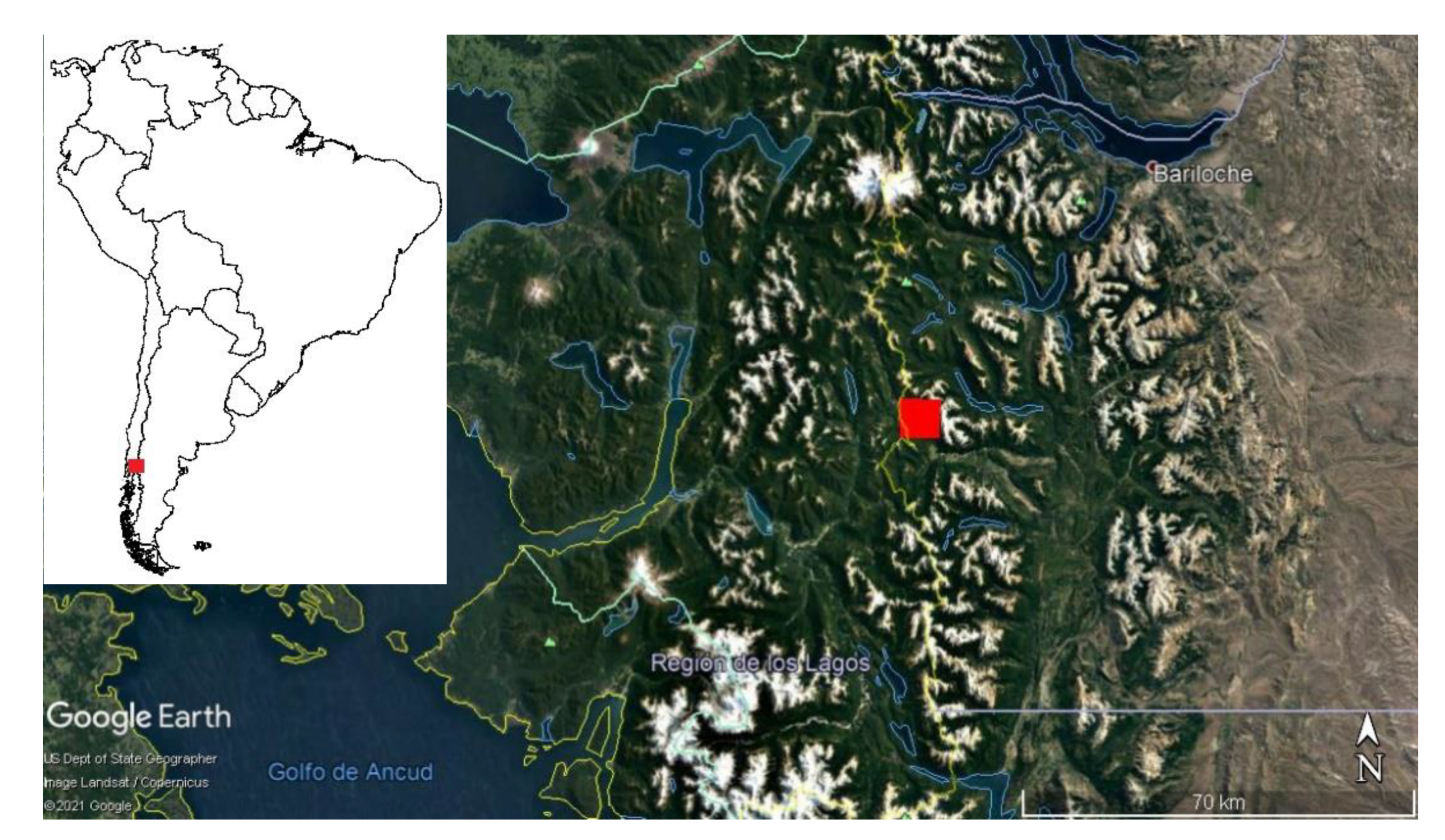 Forests 12 00923 g002