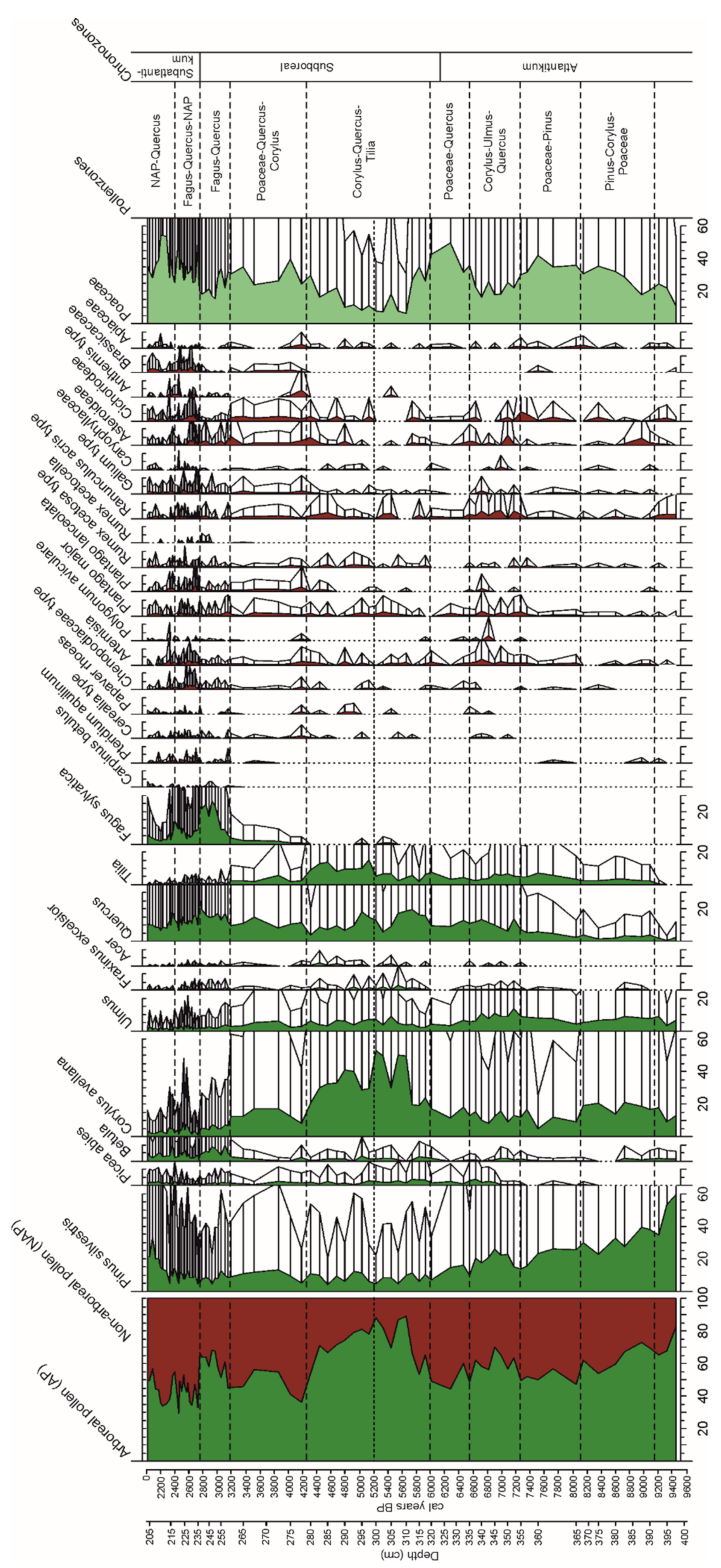 Forests 12 00924 g004 550