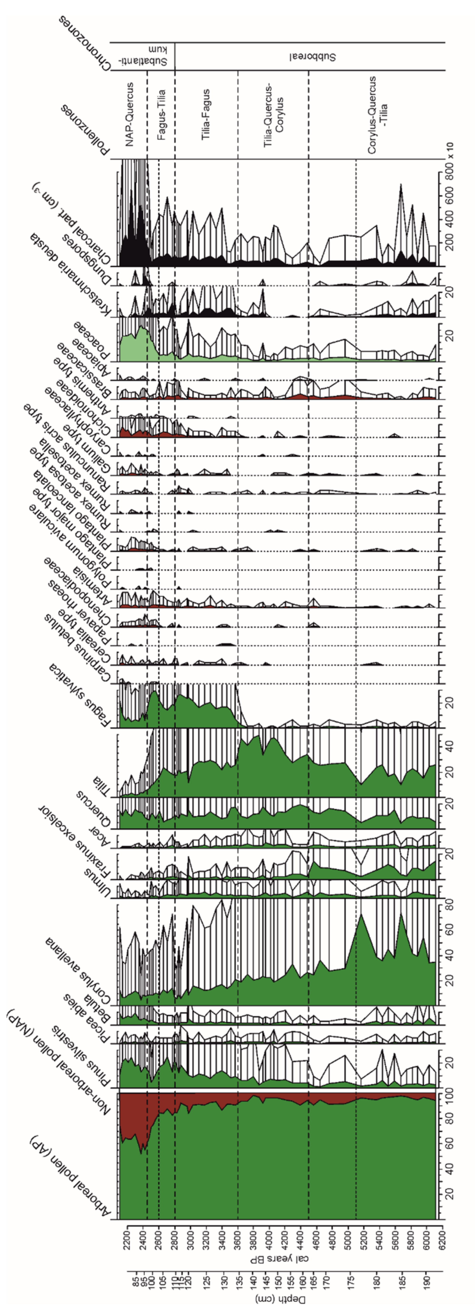 Forests 12 00924 g005 550
