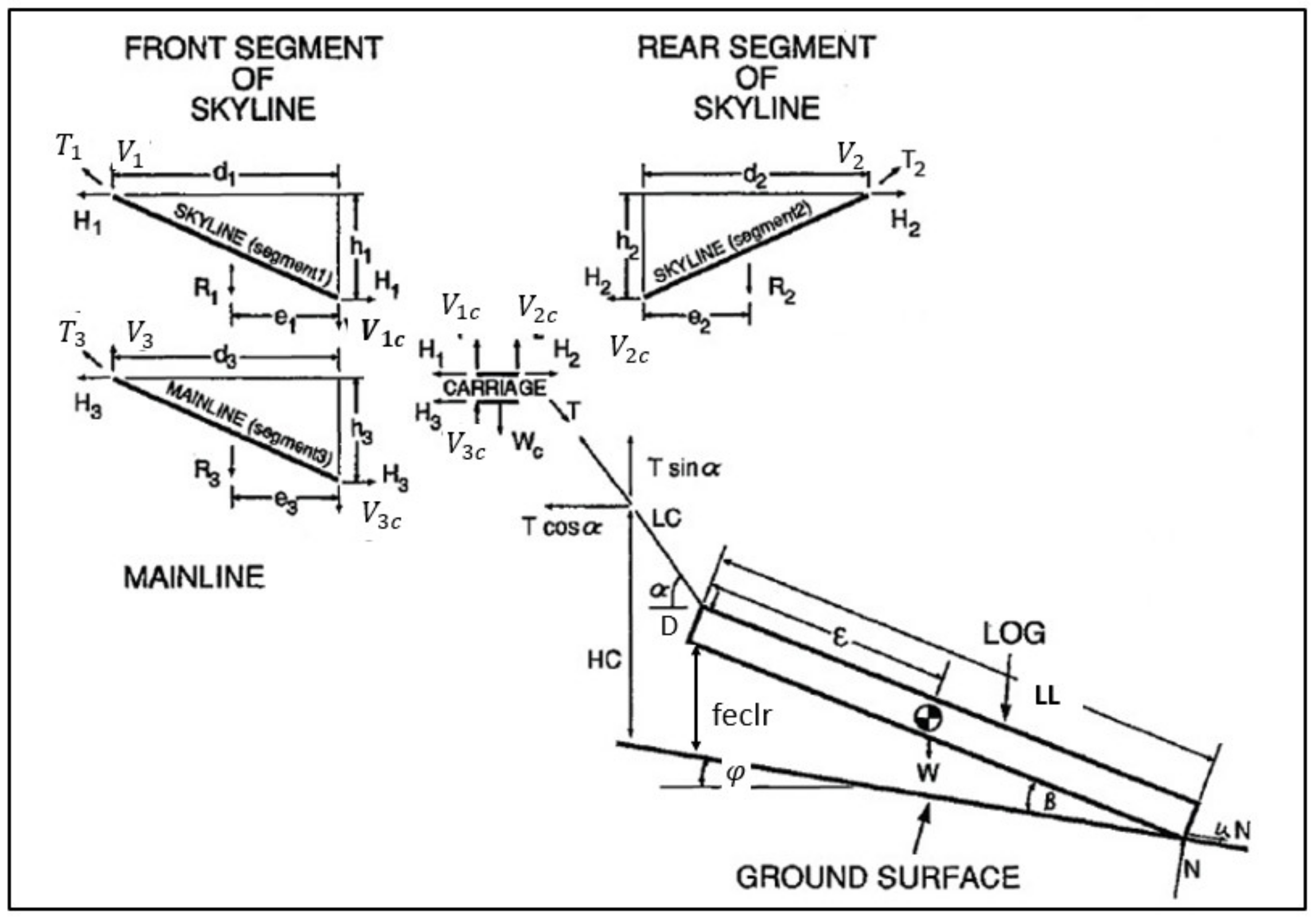 Forests 12 00927 g004