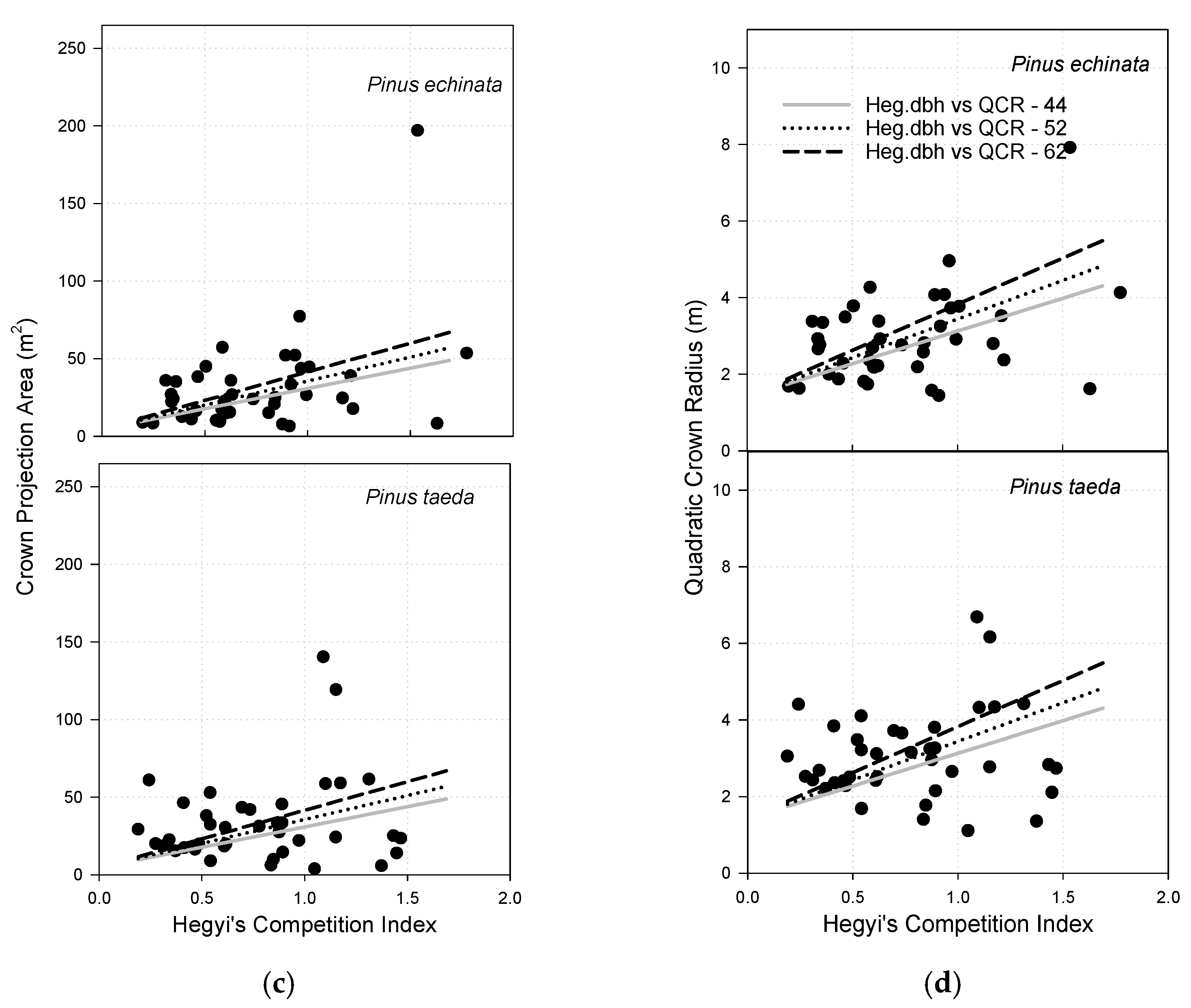 Forests 12 00935 g004b