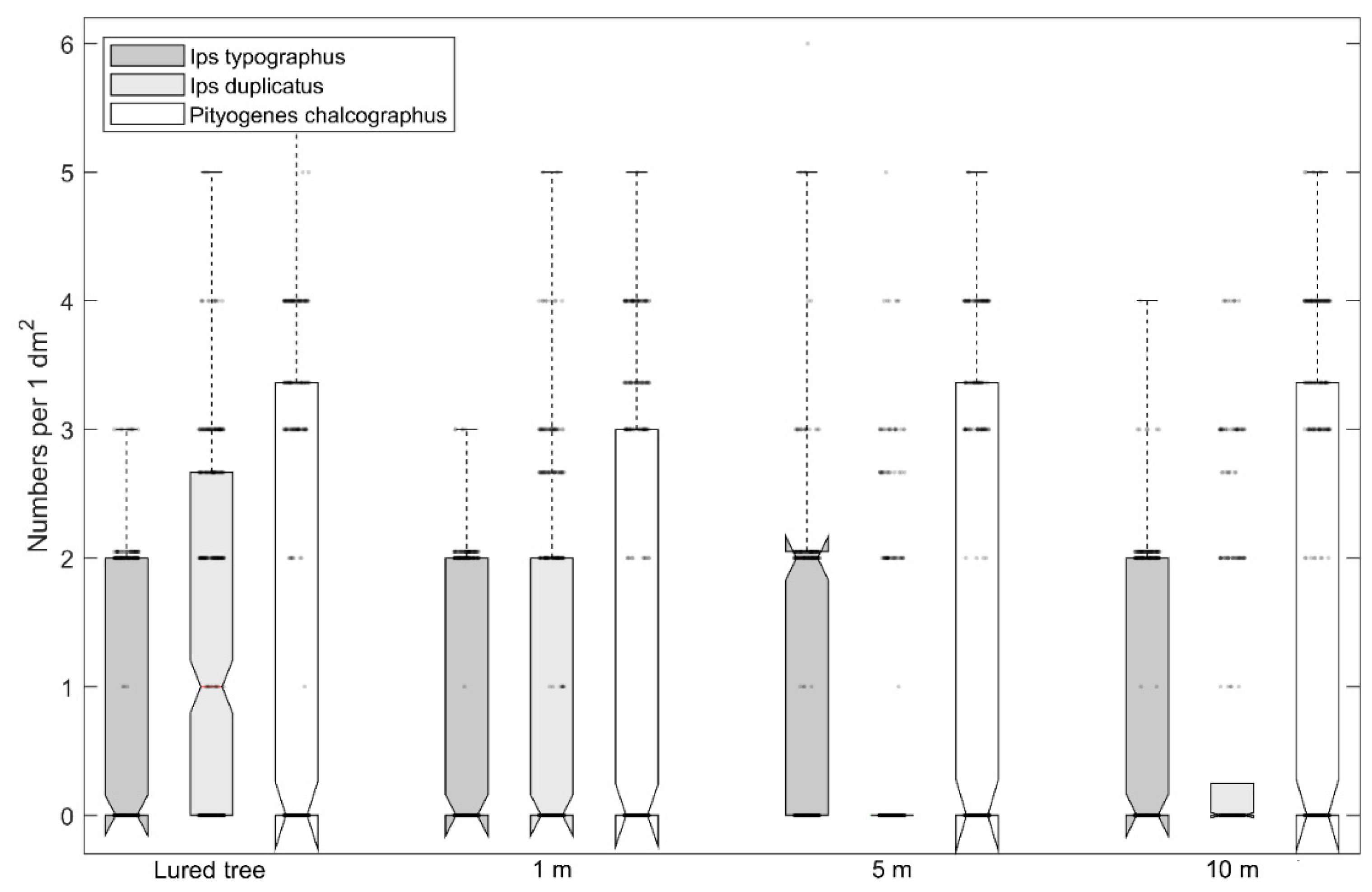 Forests 12 00941 g002