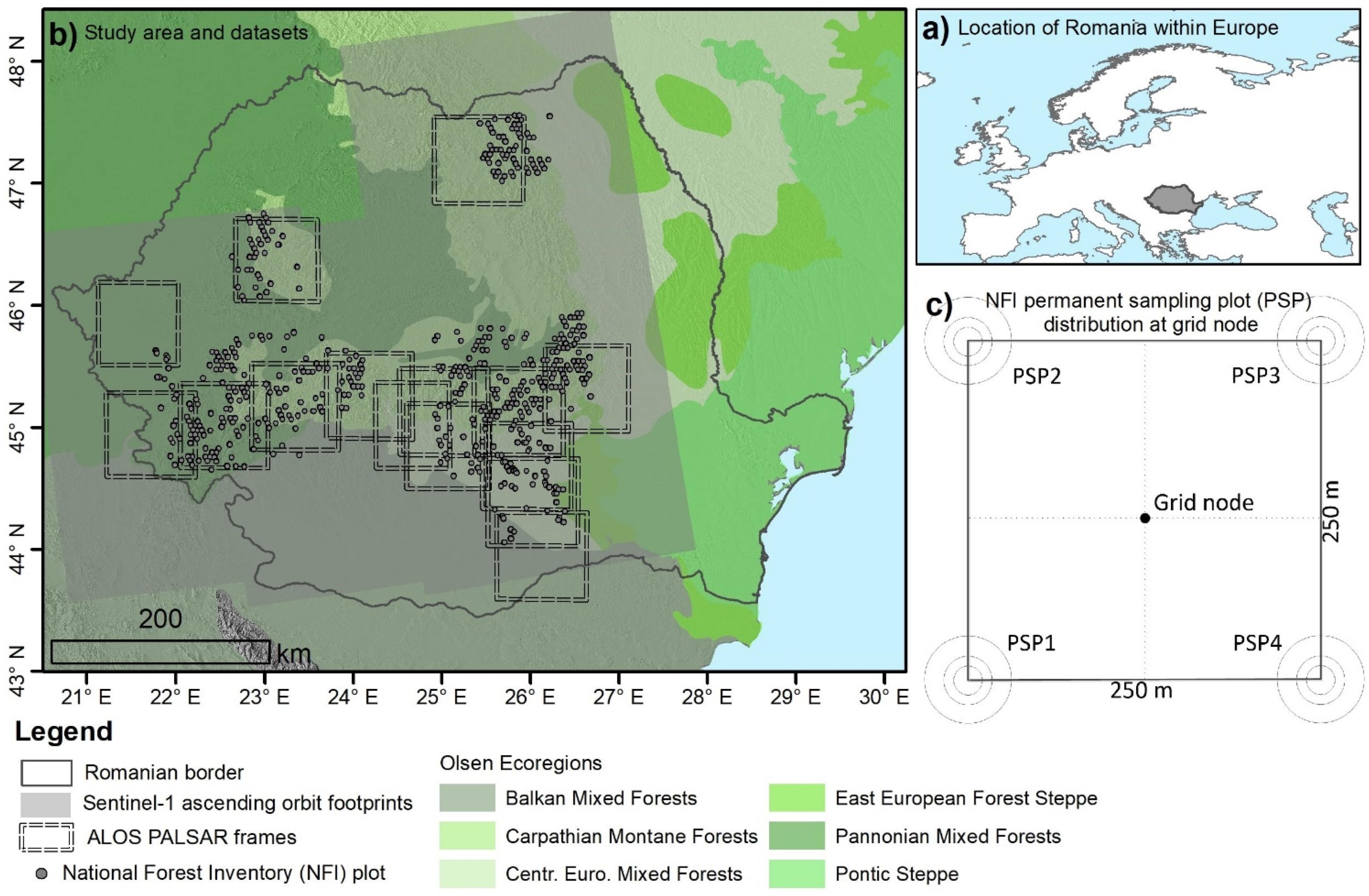 Forests 12 00944 g002