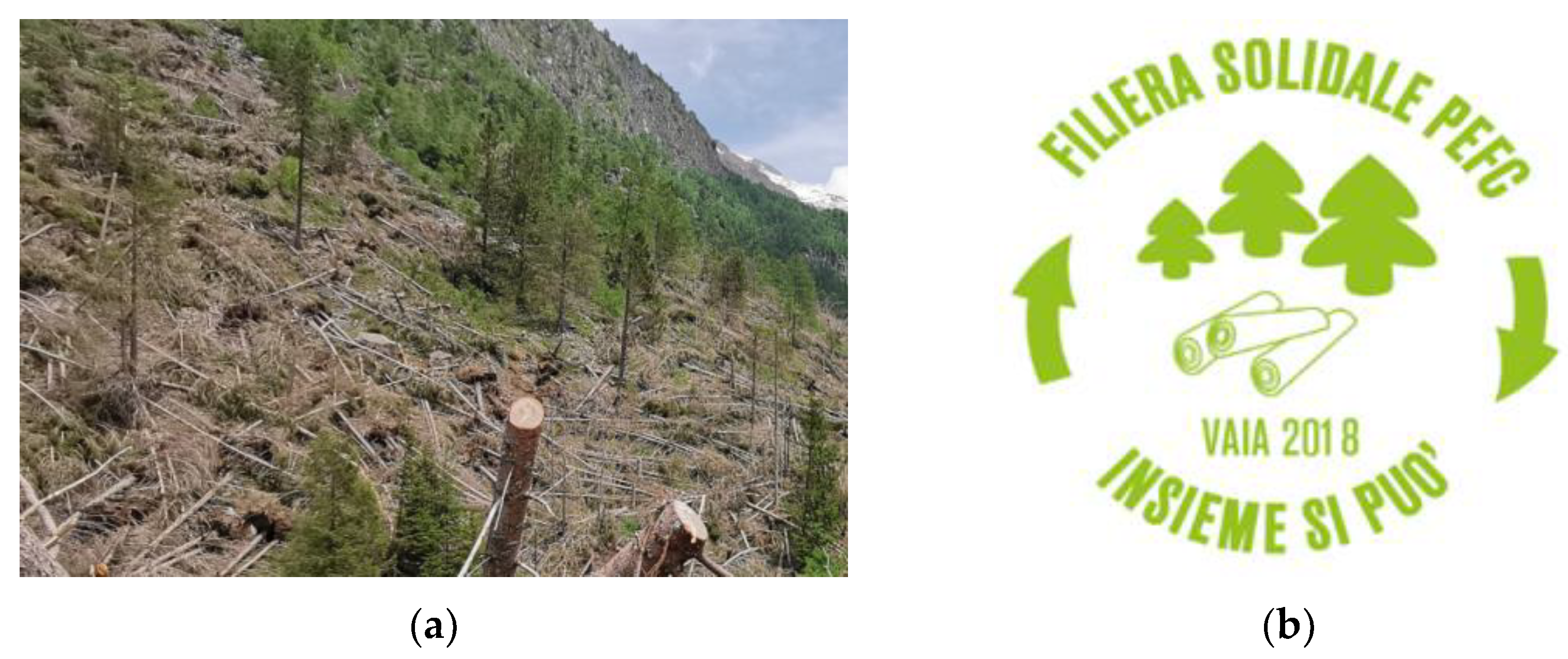 Forests 12 00946 g001 Forests 12 00946 g001