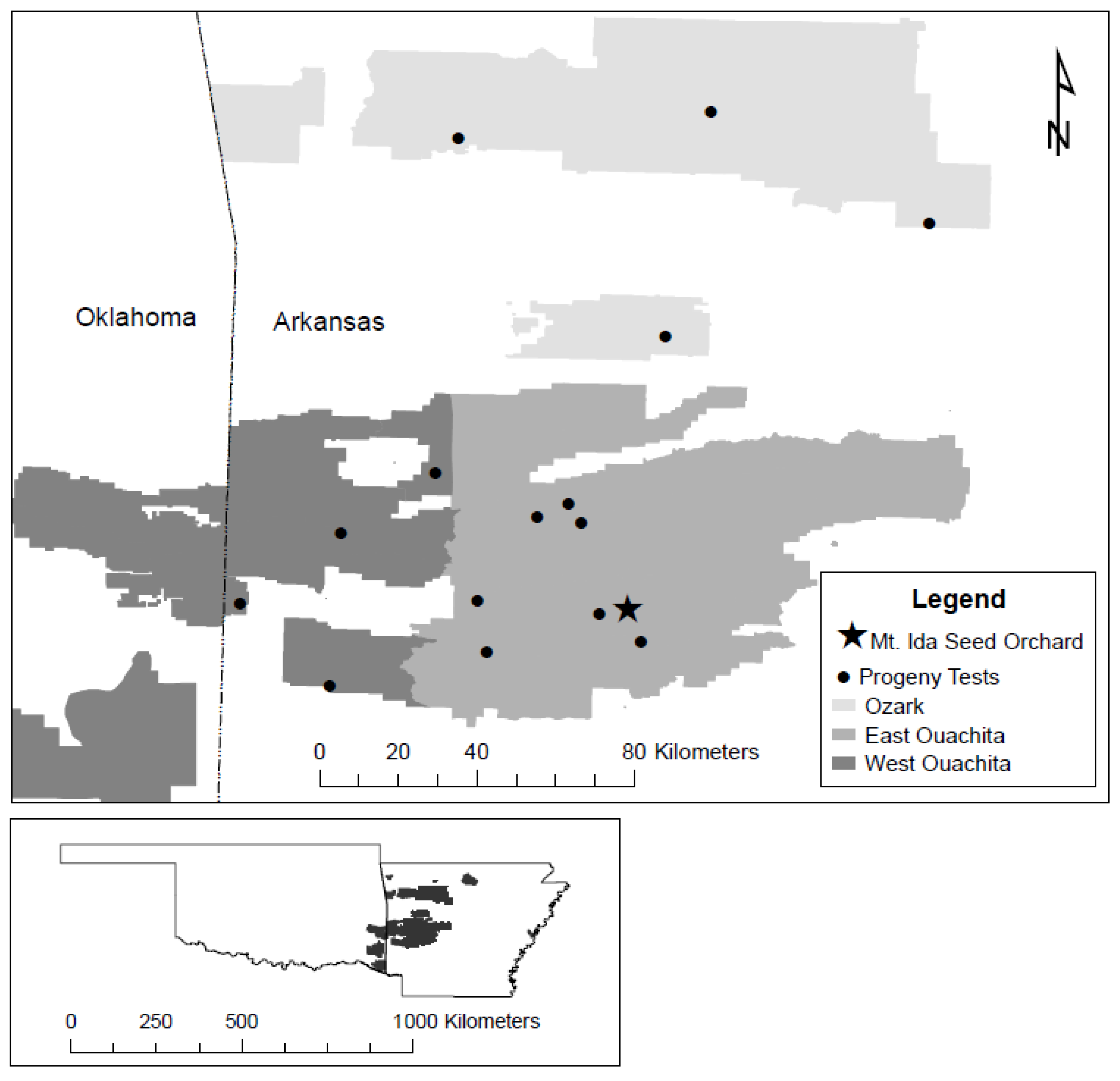 Forests 12 00953 g001