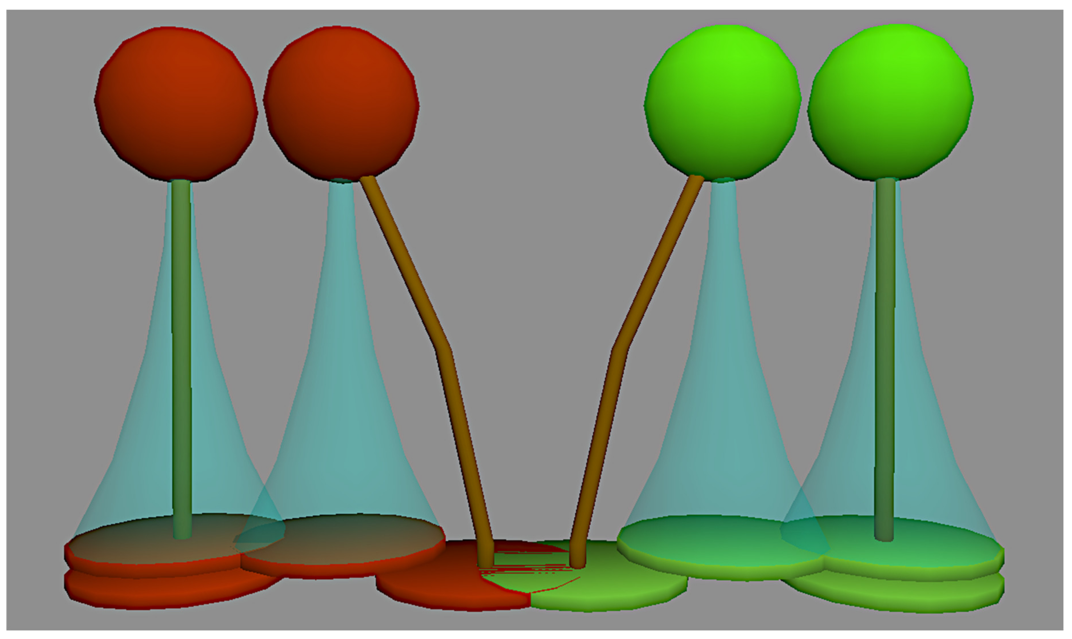 Forests 12 00955 g001 550