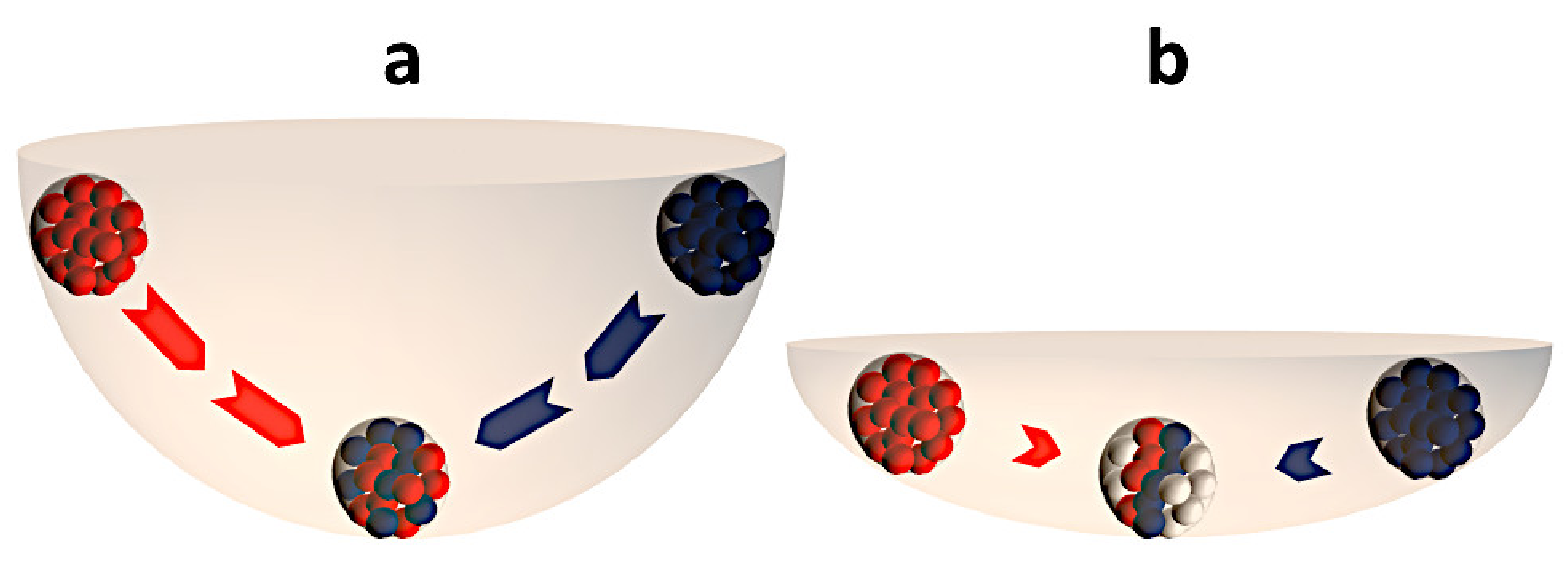 Forests 12 00955 g008 550