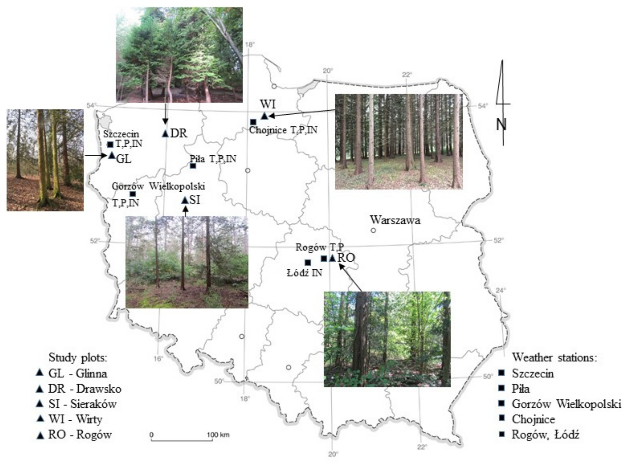 Forests 12 00967 g001 550