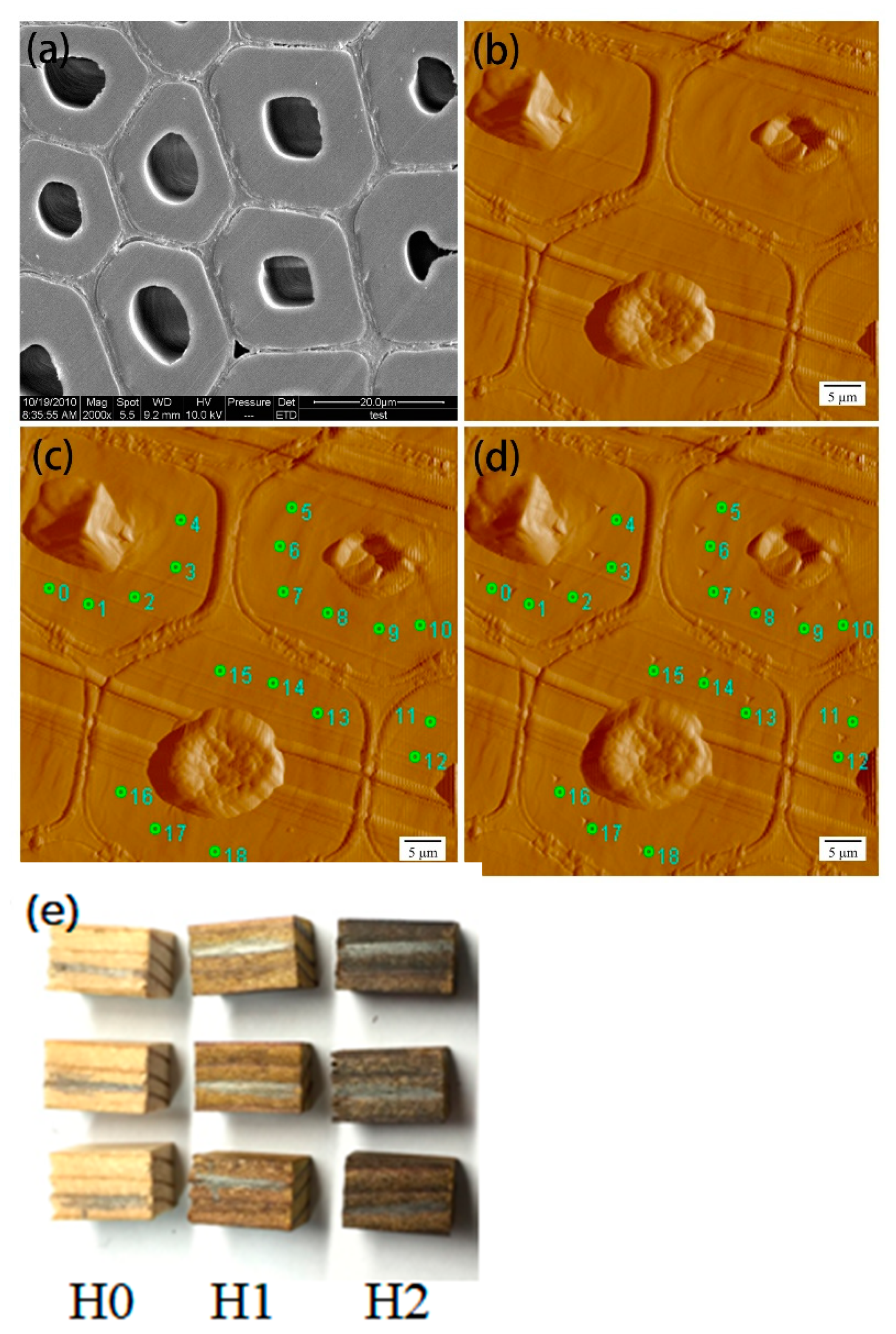 Forests 12 00968 g002 Forests 12 00968 g002