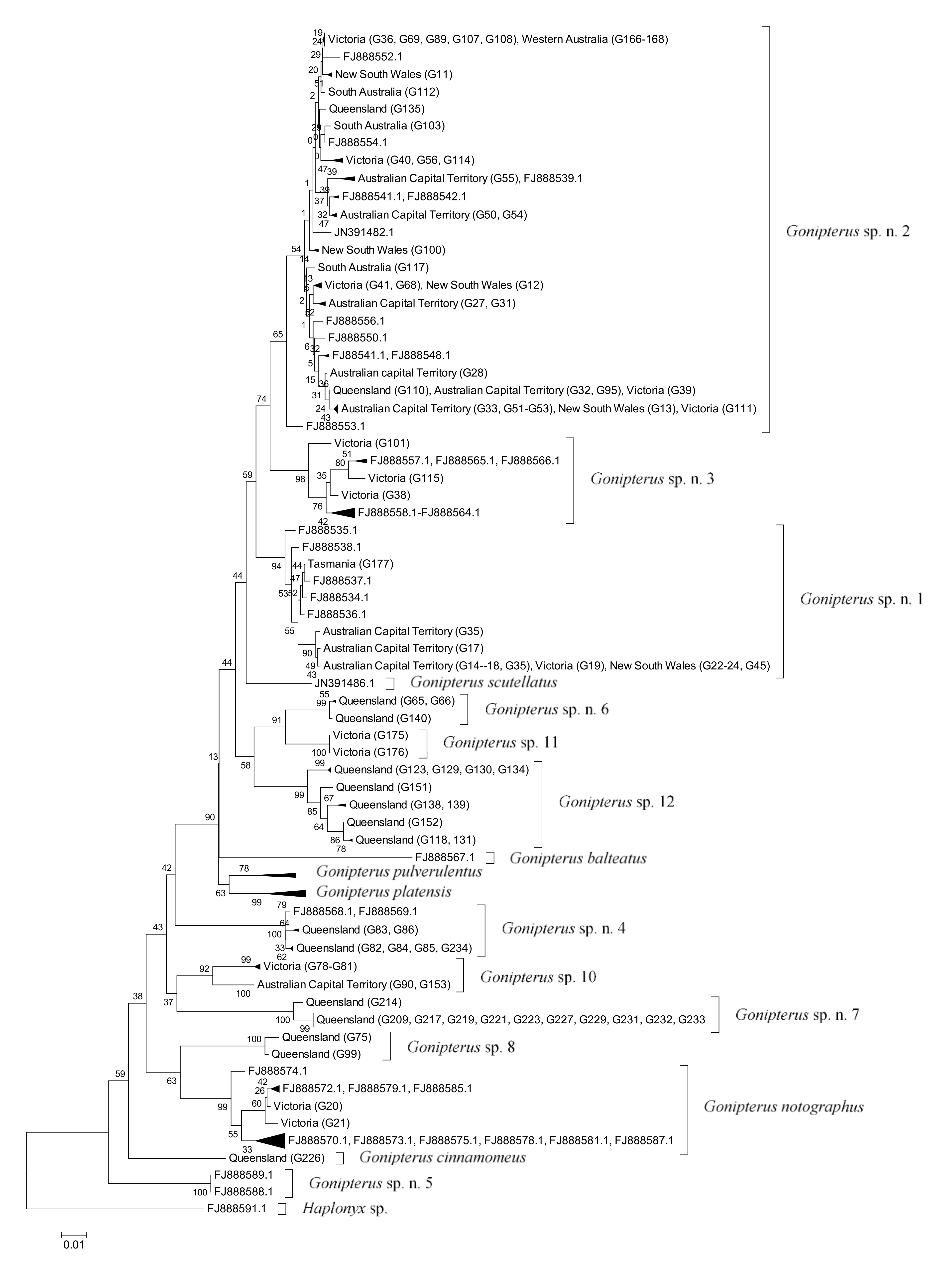 Forests 12 00969 g003