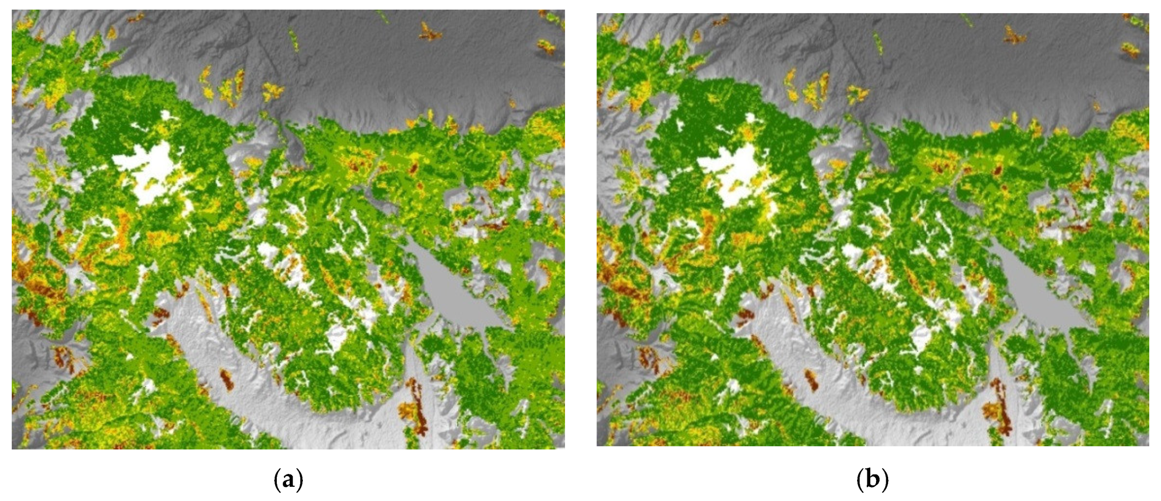 Forests 12 00974 g007 550
