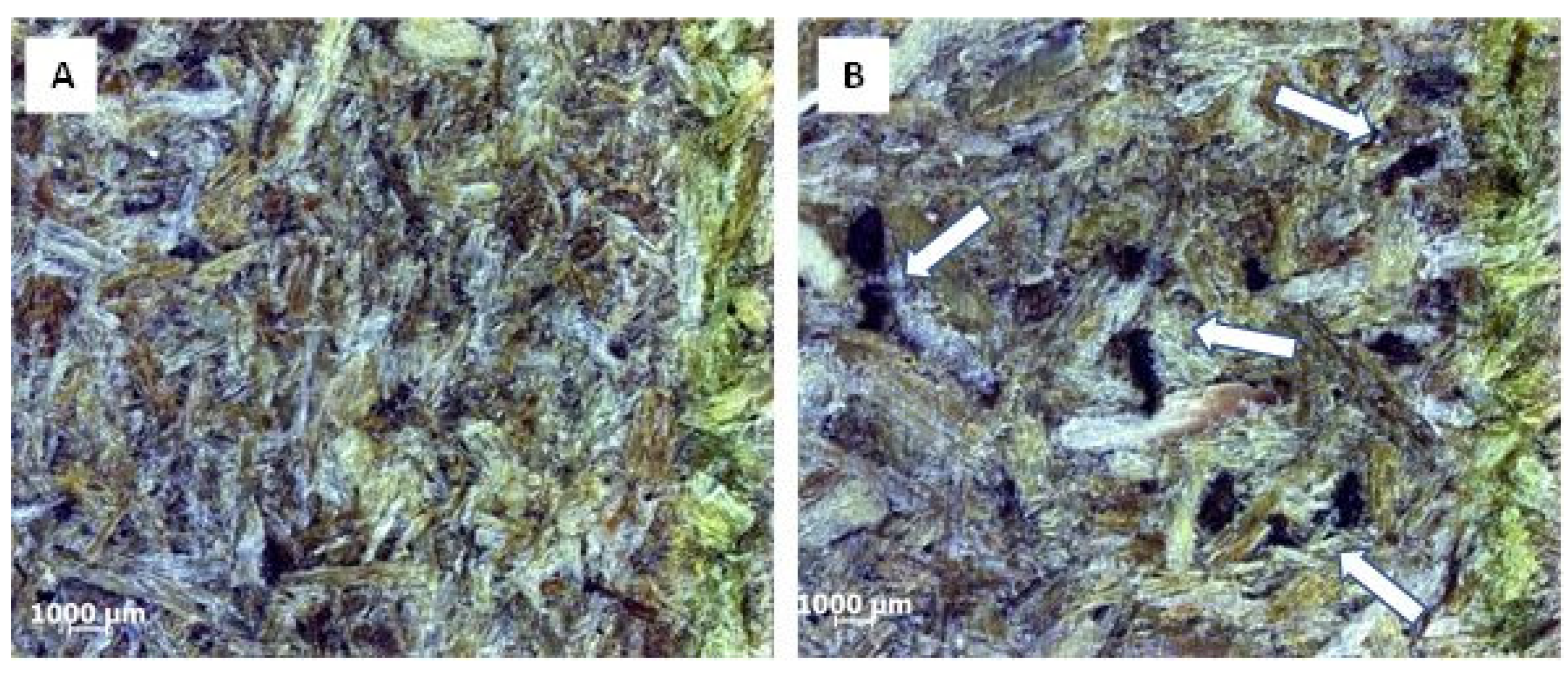 Forests 12 00975 g003