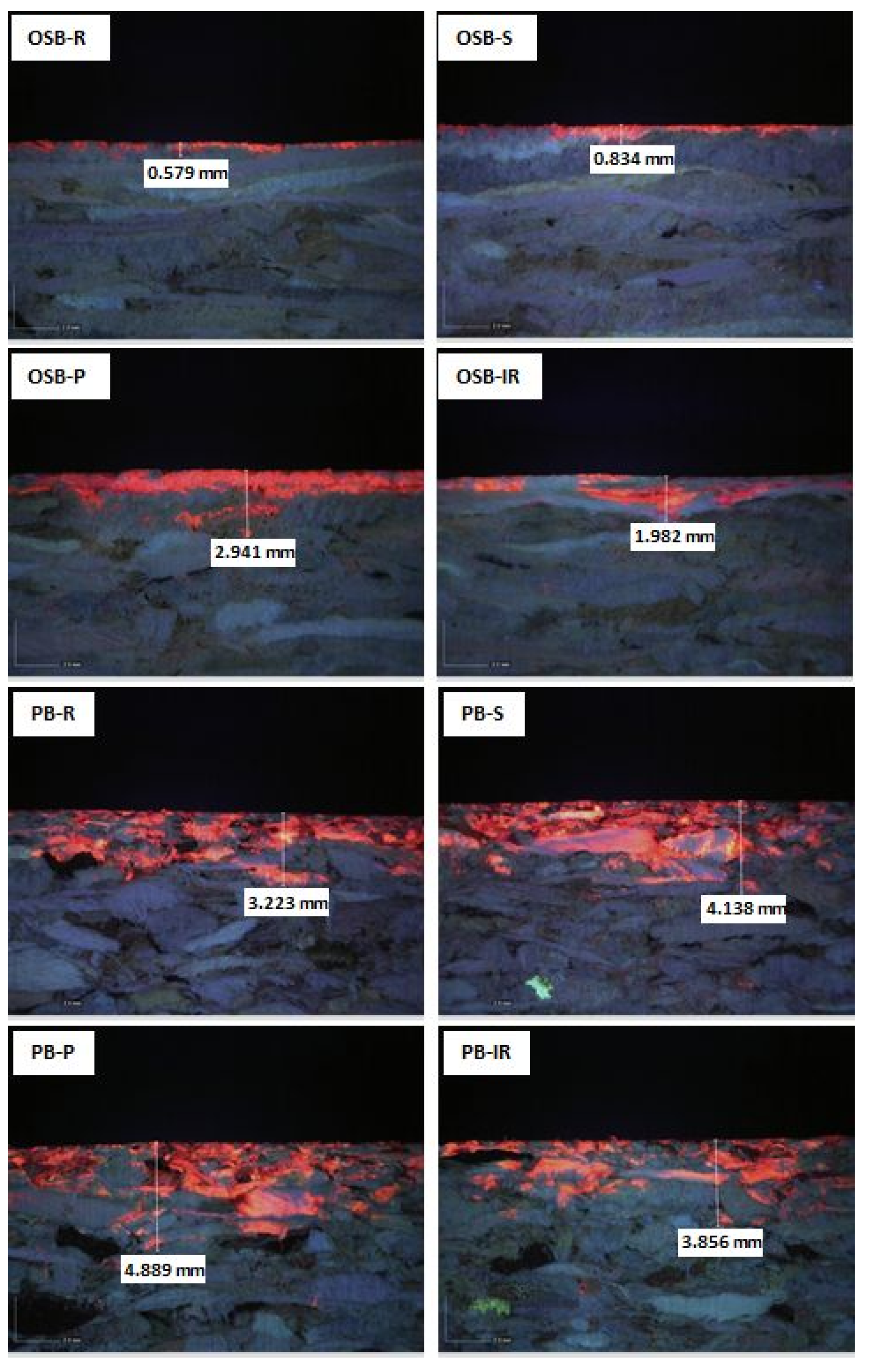 Forests 12 00975 g006