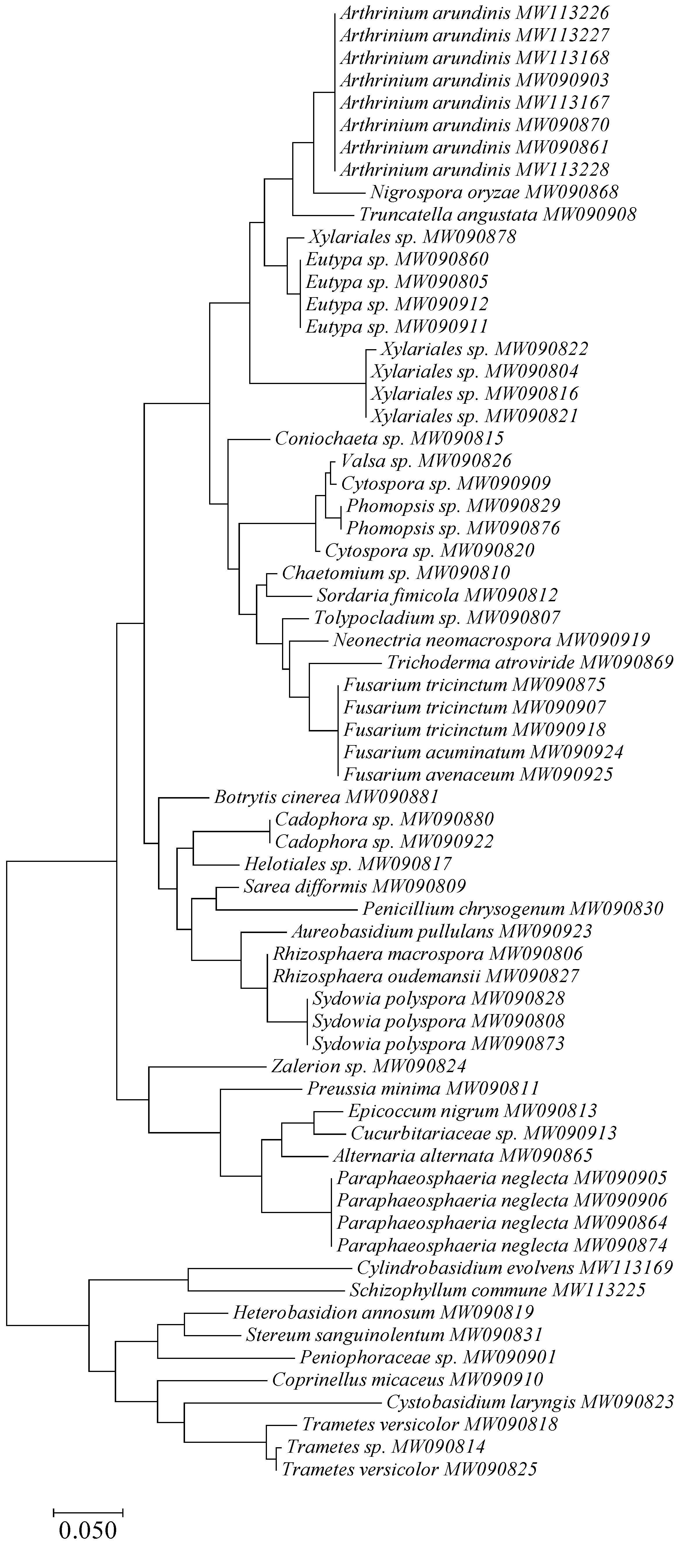 Forests 12 00976 g003