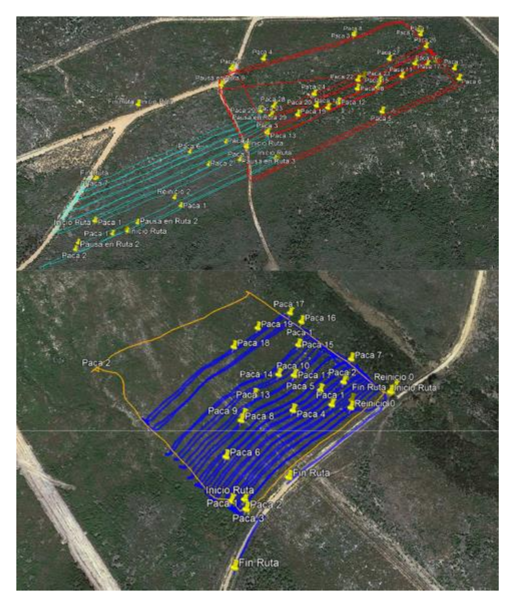 Forests 12 00979 g001 550