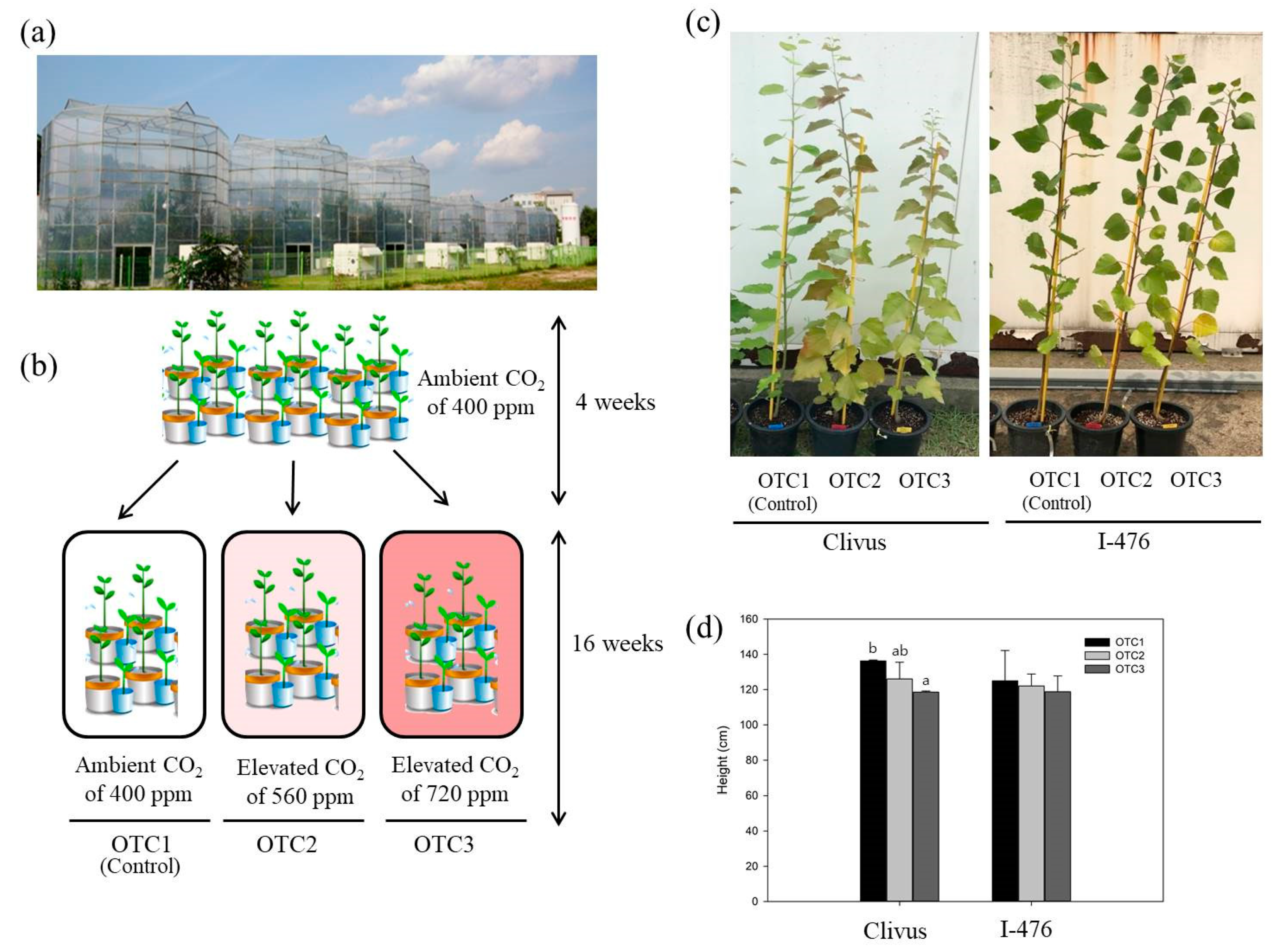 Forests 12 00980 g001 Forests 12 00980 g001