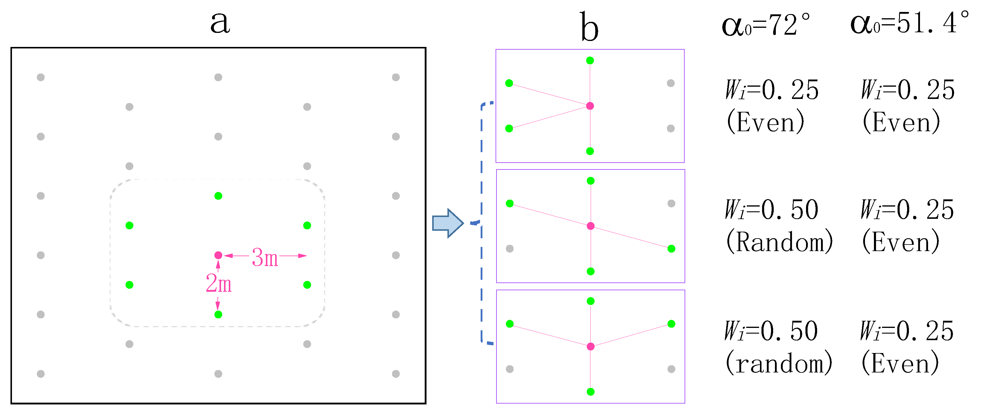 Forests 12 00981 g002 550