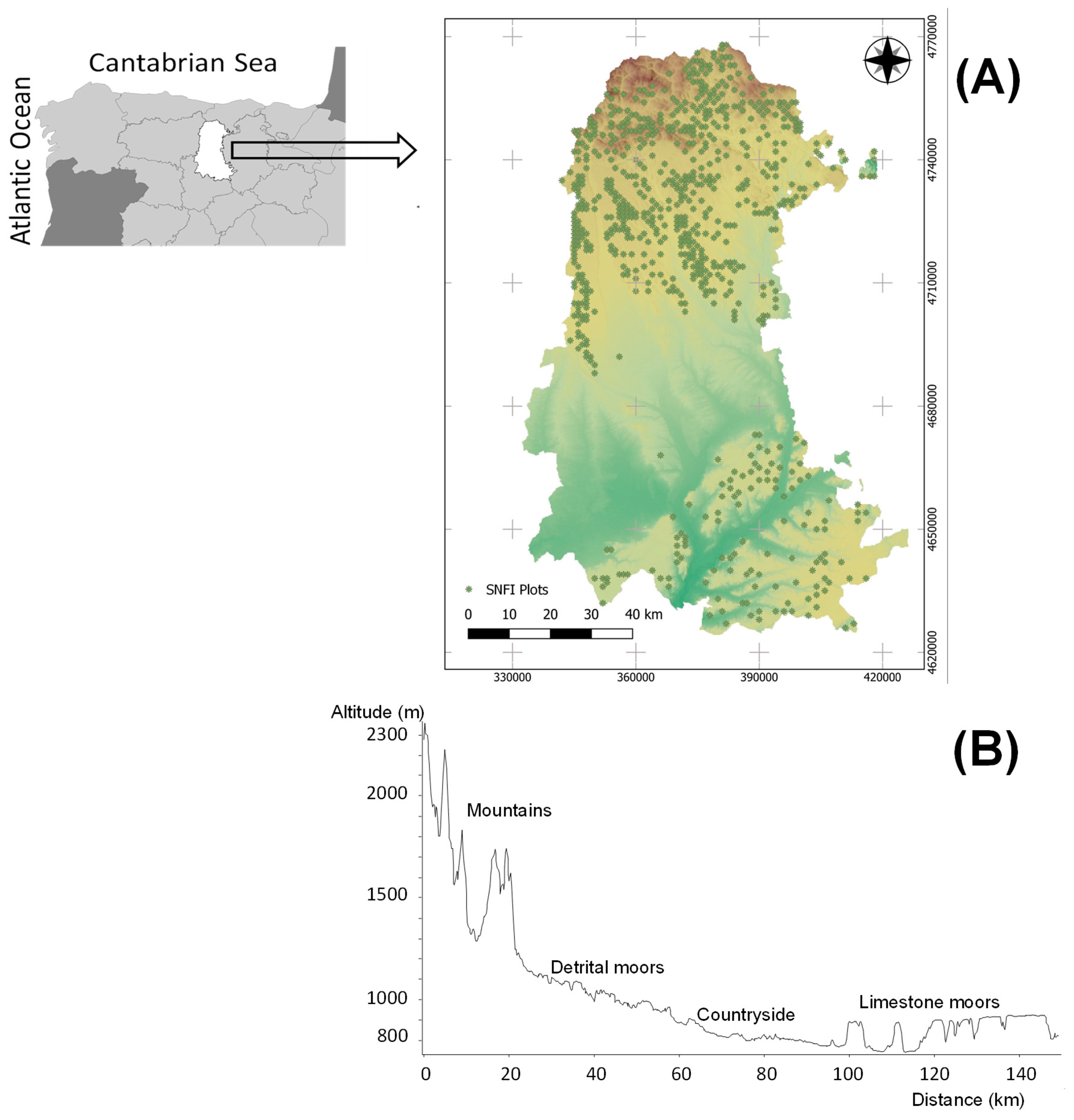 Forests 12 00982 g001
