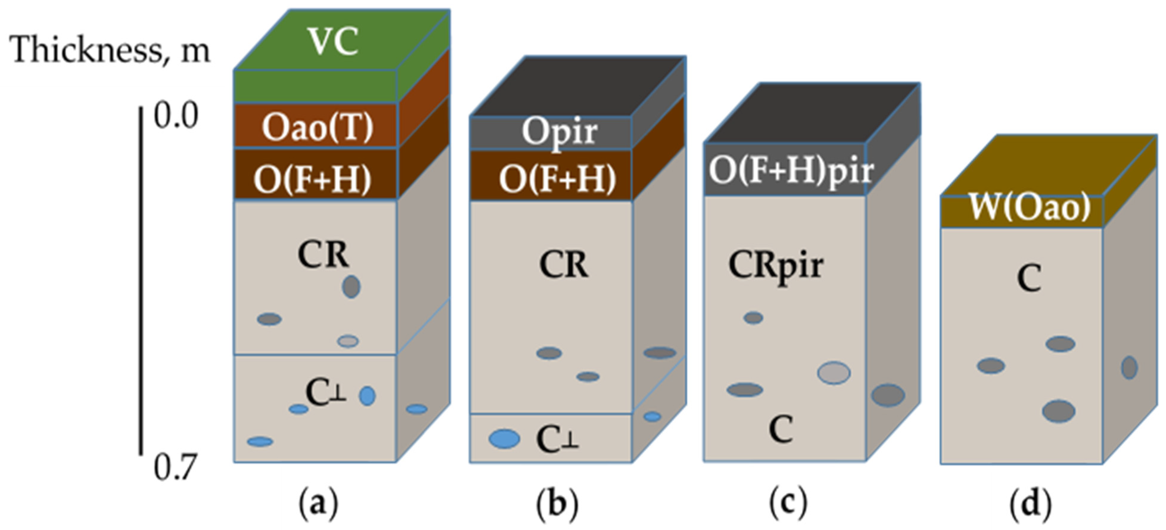 Forests 12 00994 g001