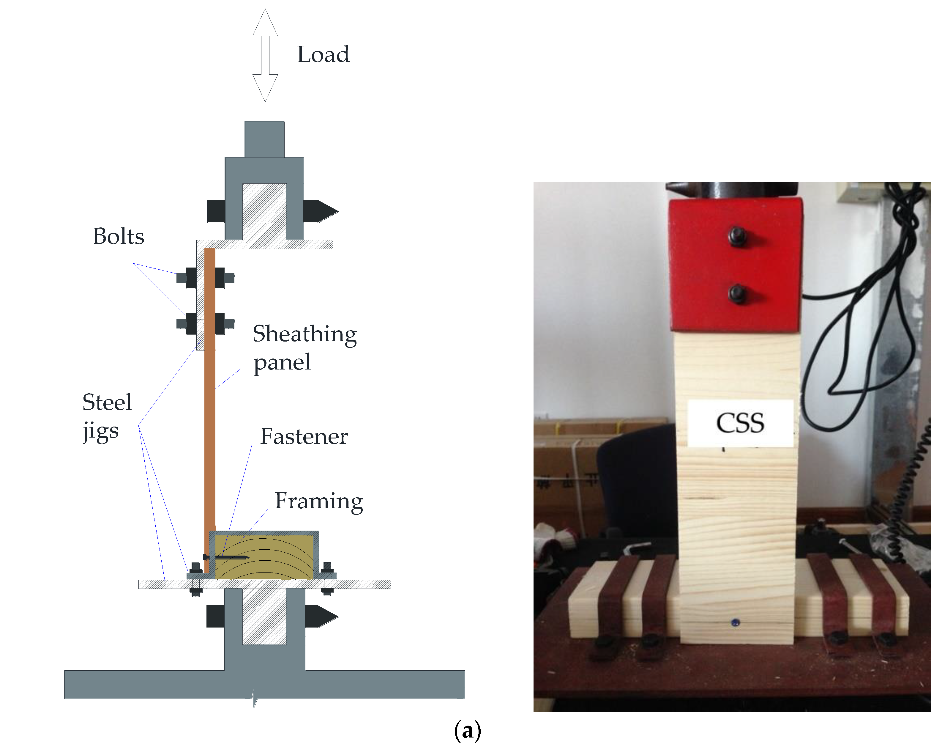Forests 12 00995 g002a