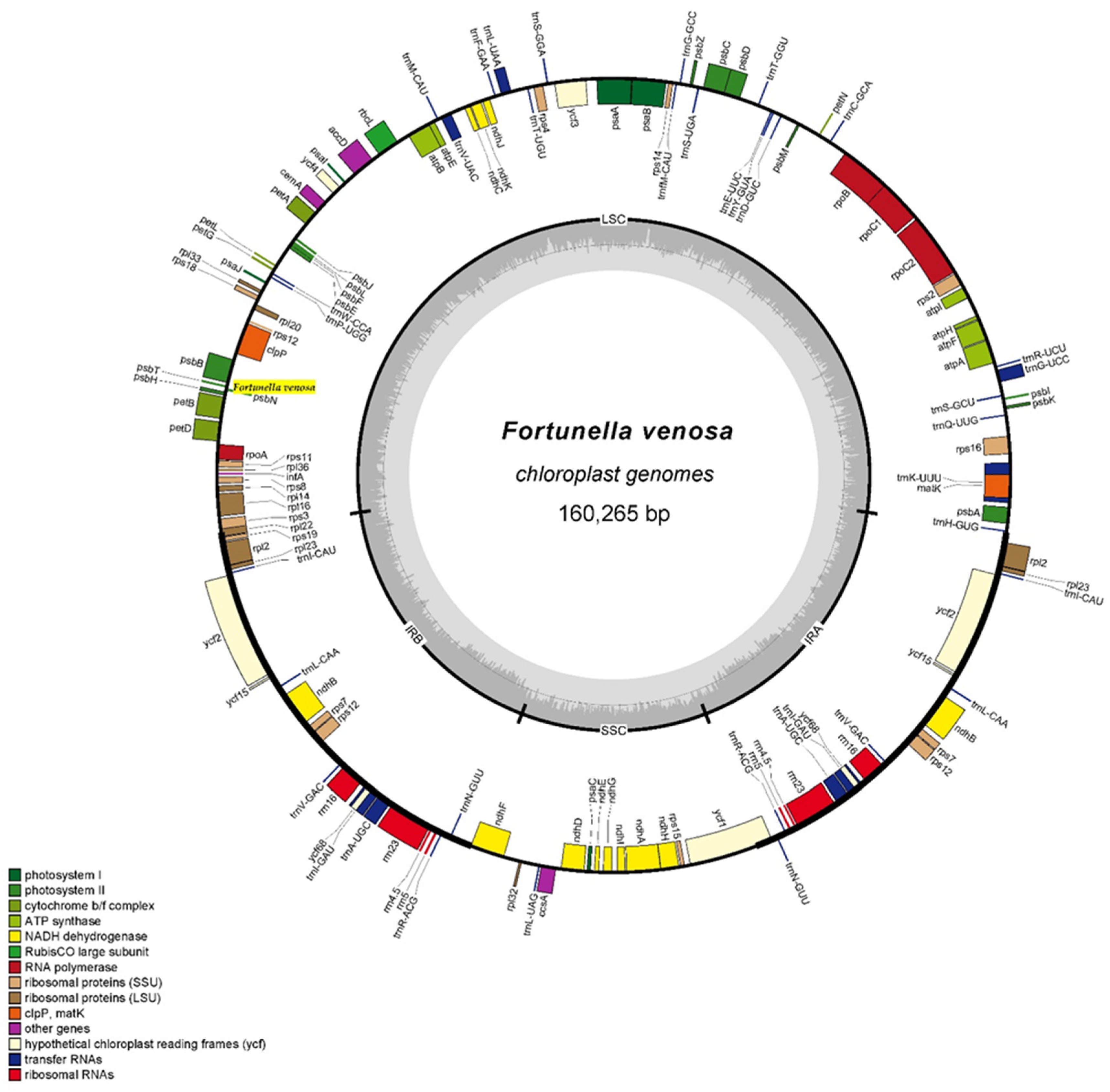 Forests 12 00996 g001