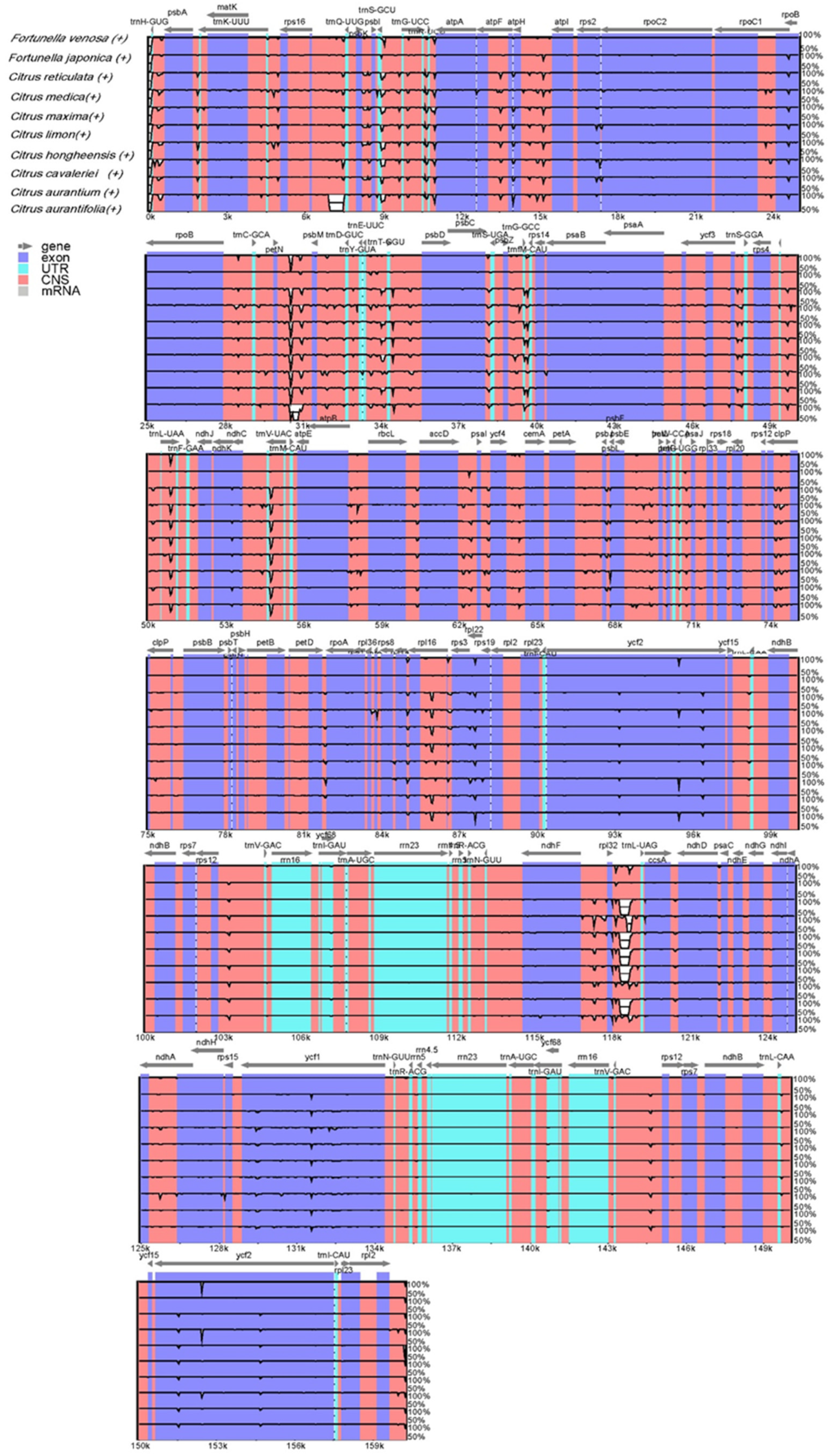 Forests 12 00996 g006