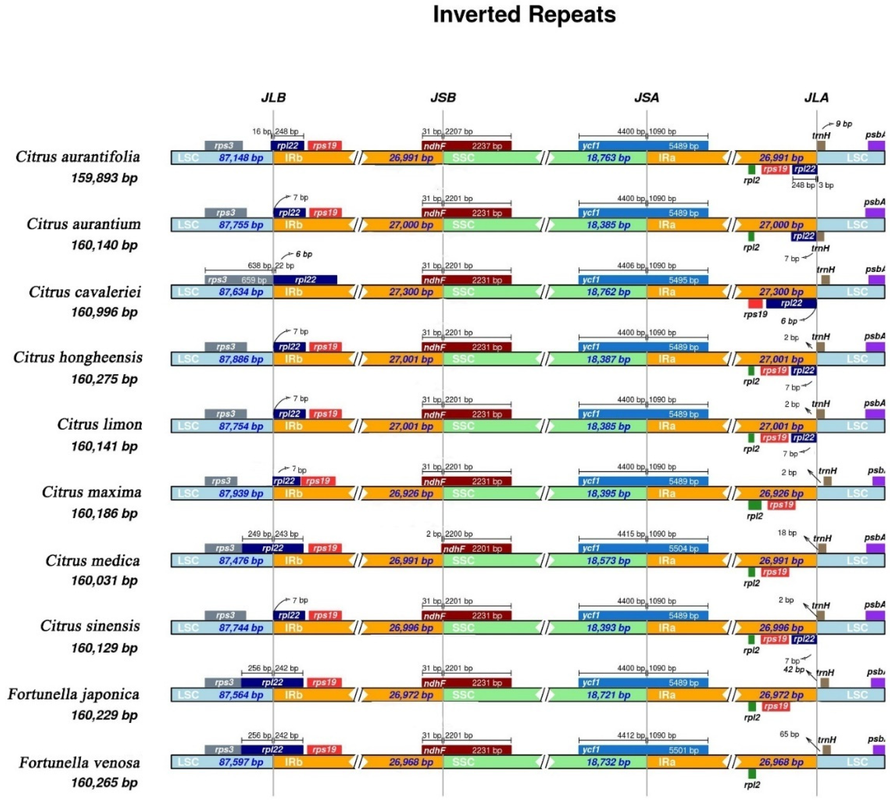 Forests 12 00996 g007
