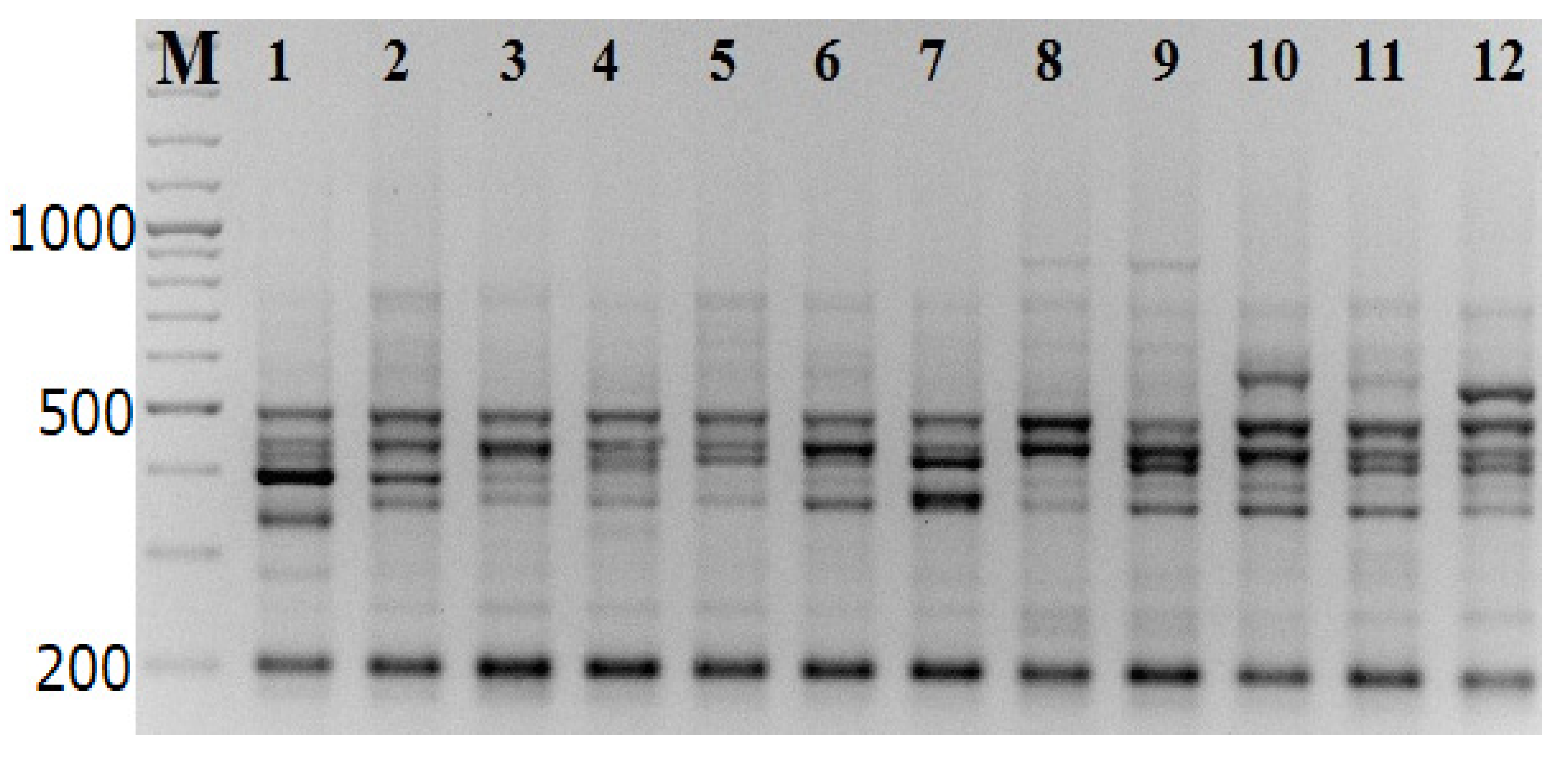 Forests 12 00999 g002