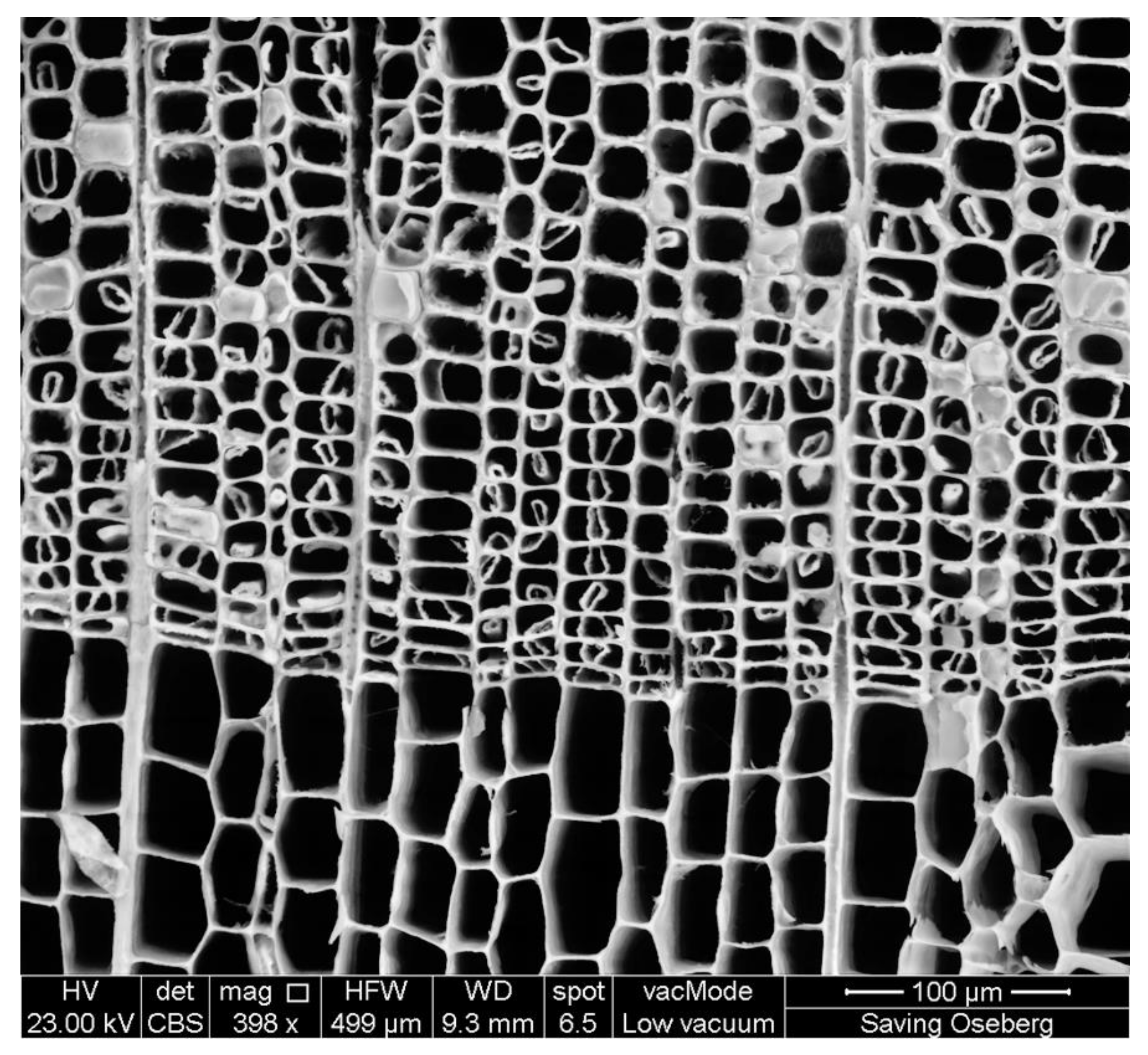 Forests 12 01001 g008 Forests 12 01001 g008