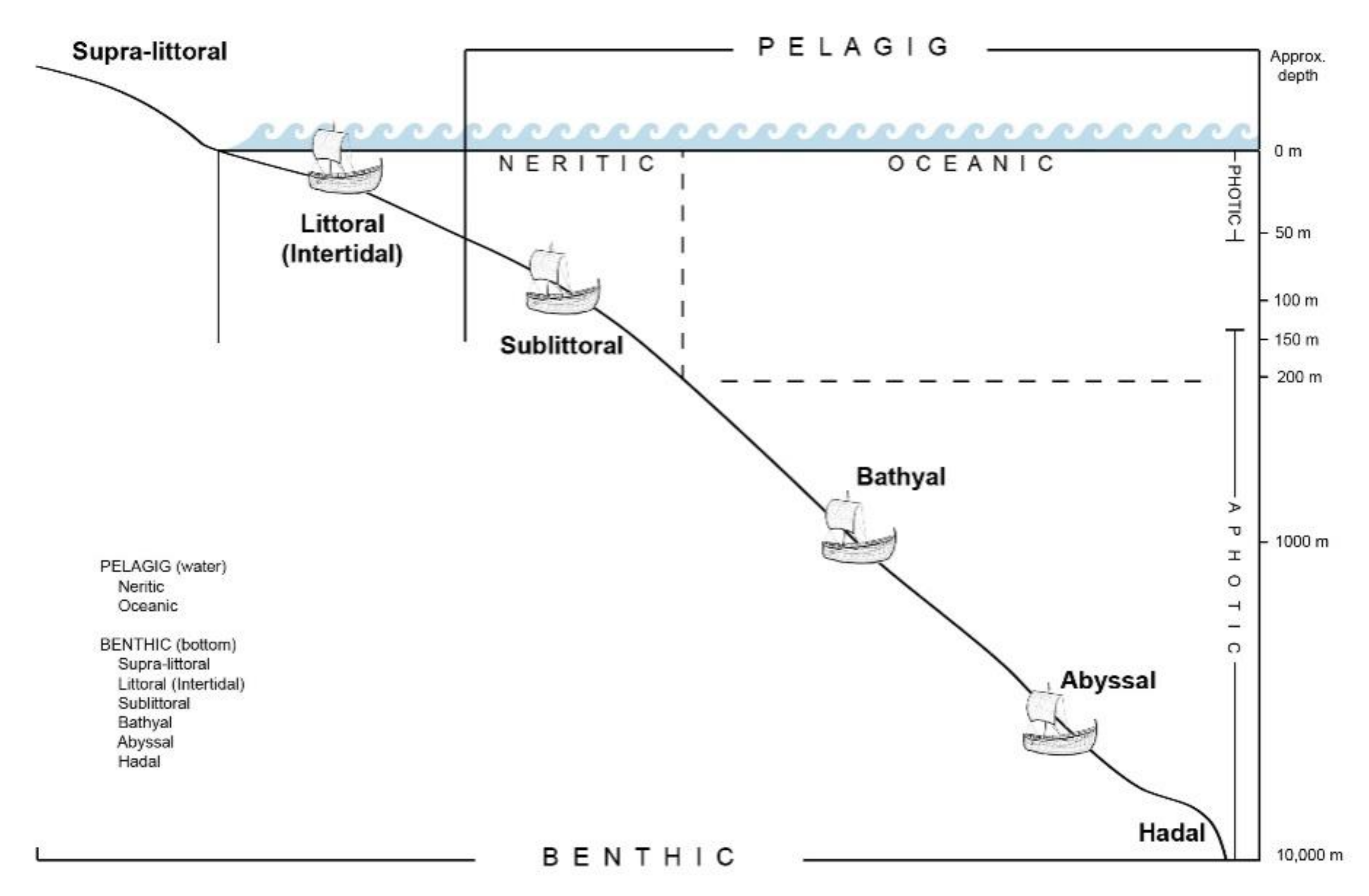 Forests 12 01001 g010 Forests 12 01001 g010