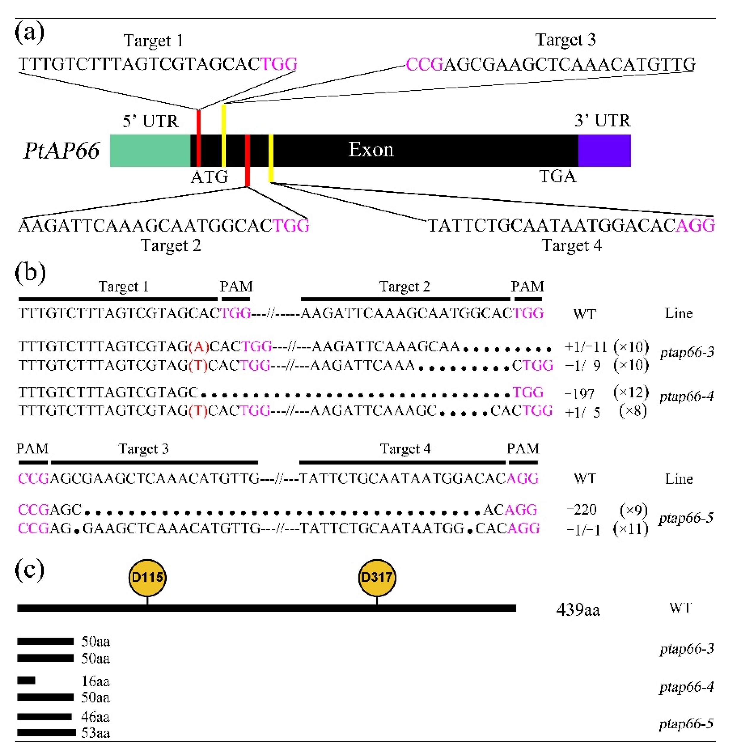 Forests 12 01002 g003