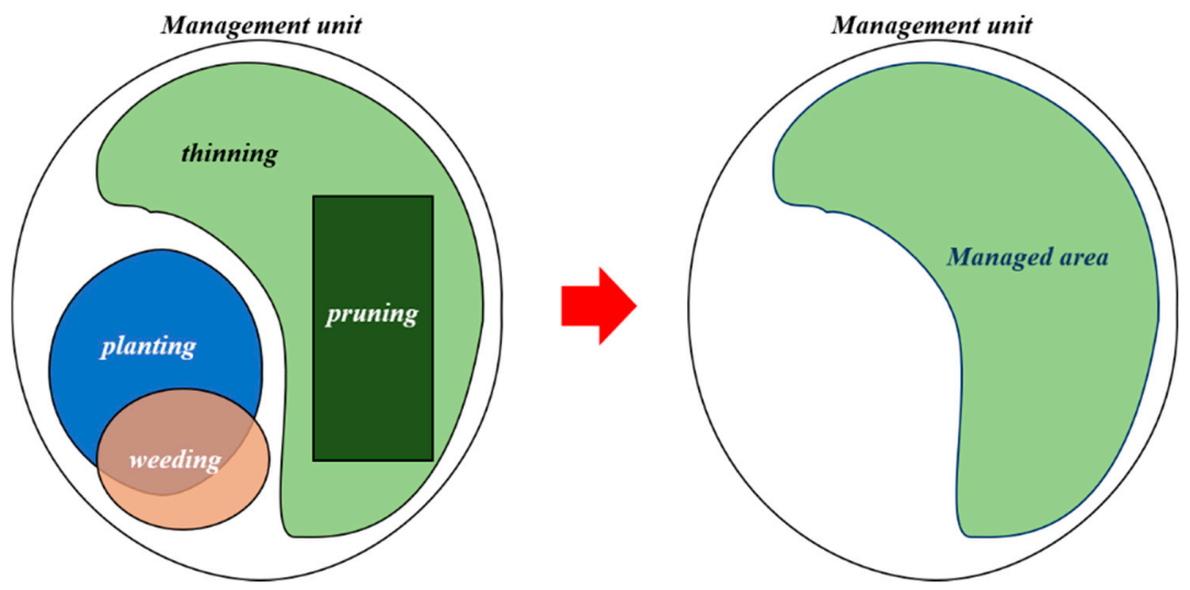 Forests 12 01003 g002 Forests 12 01003 g002