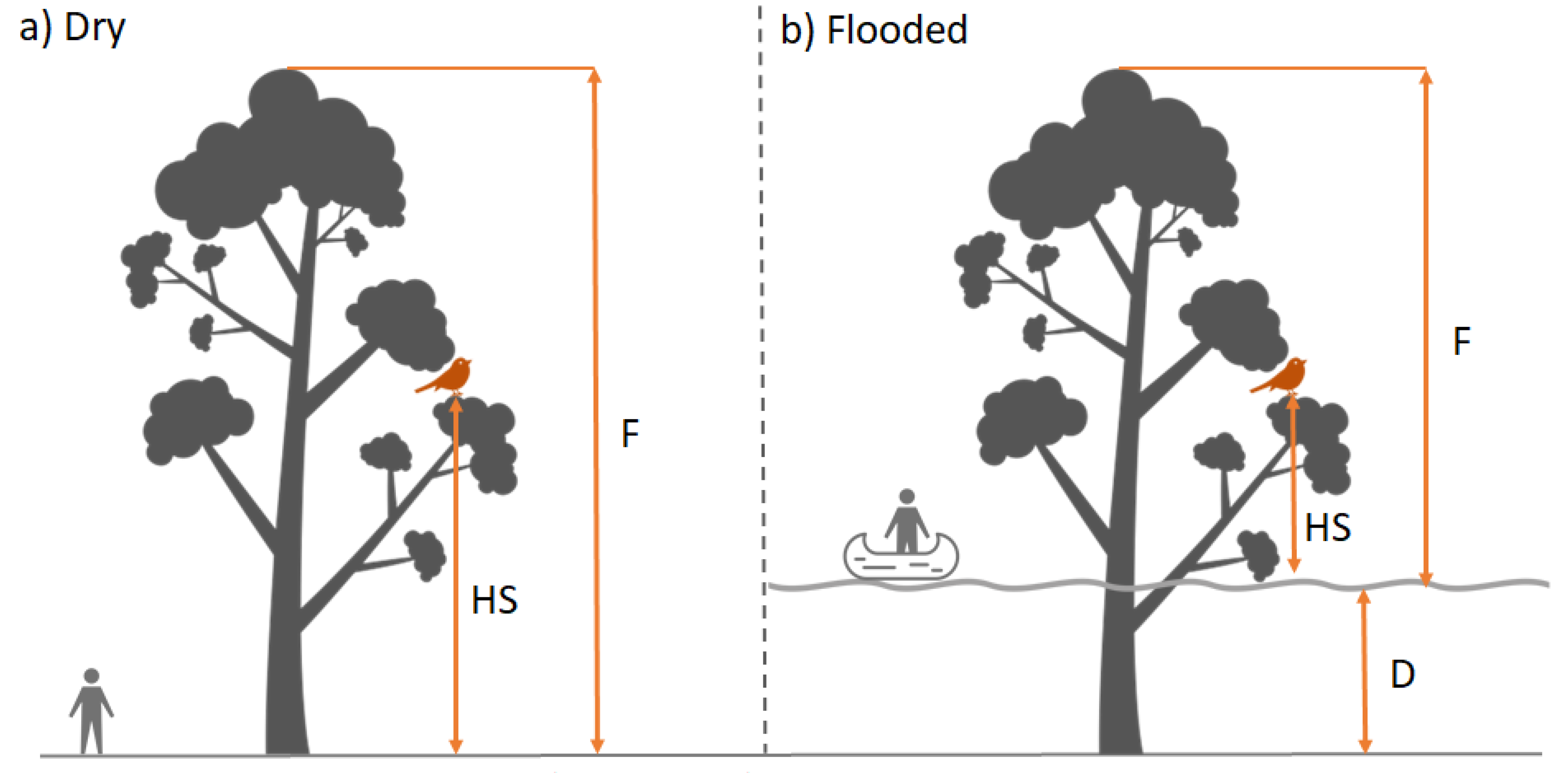 Forests 12 01004 g002 550