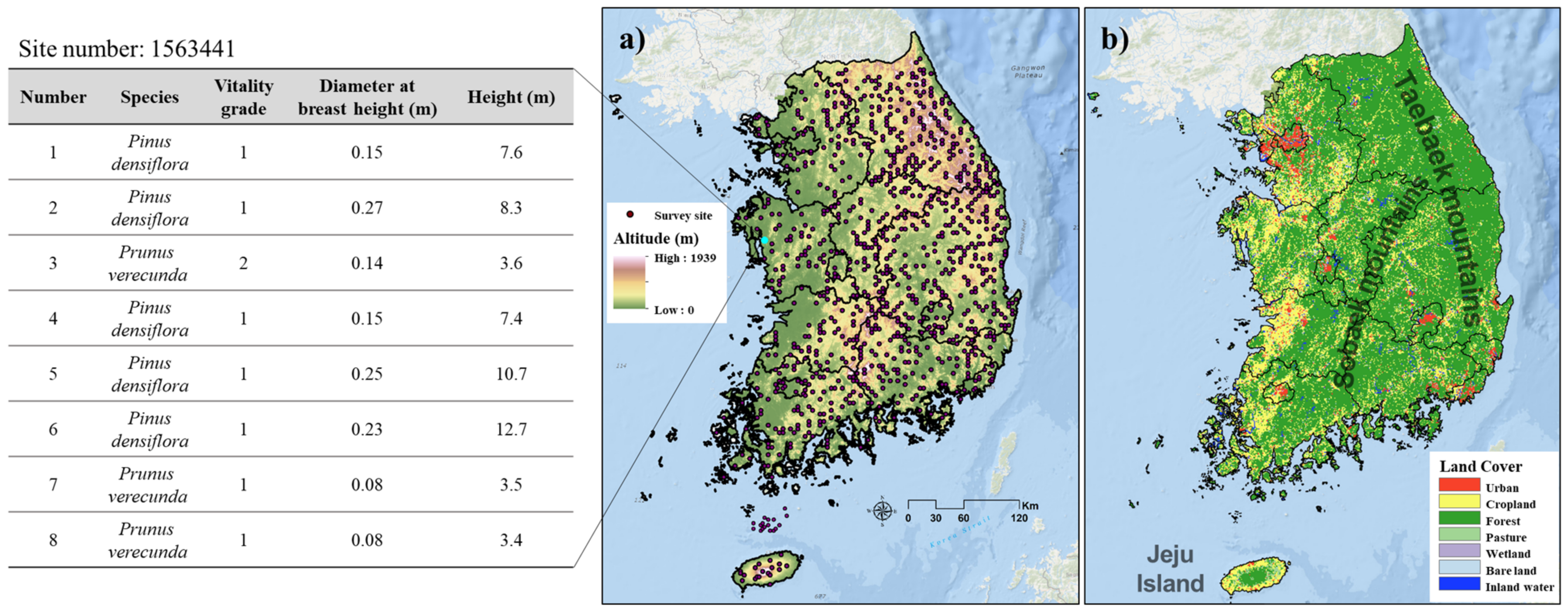 Forests 12 01009 g001
