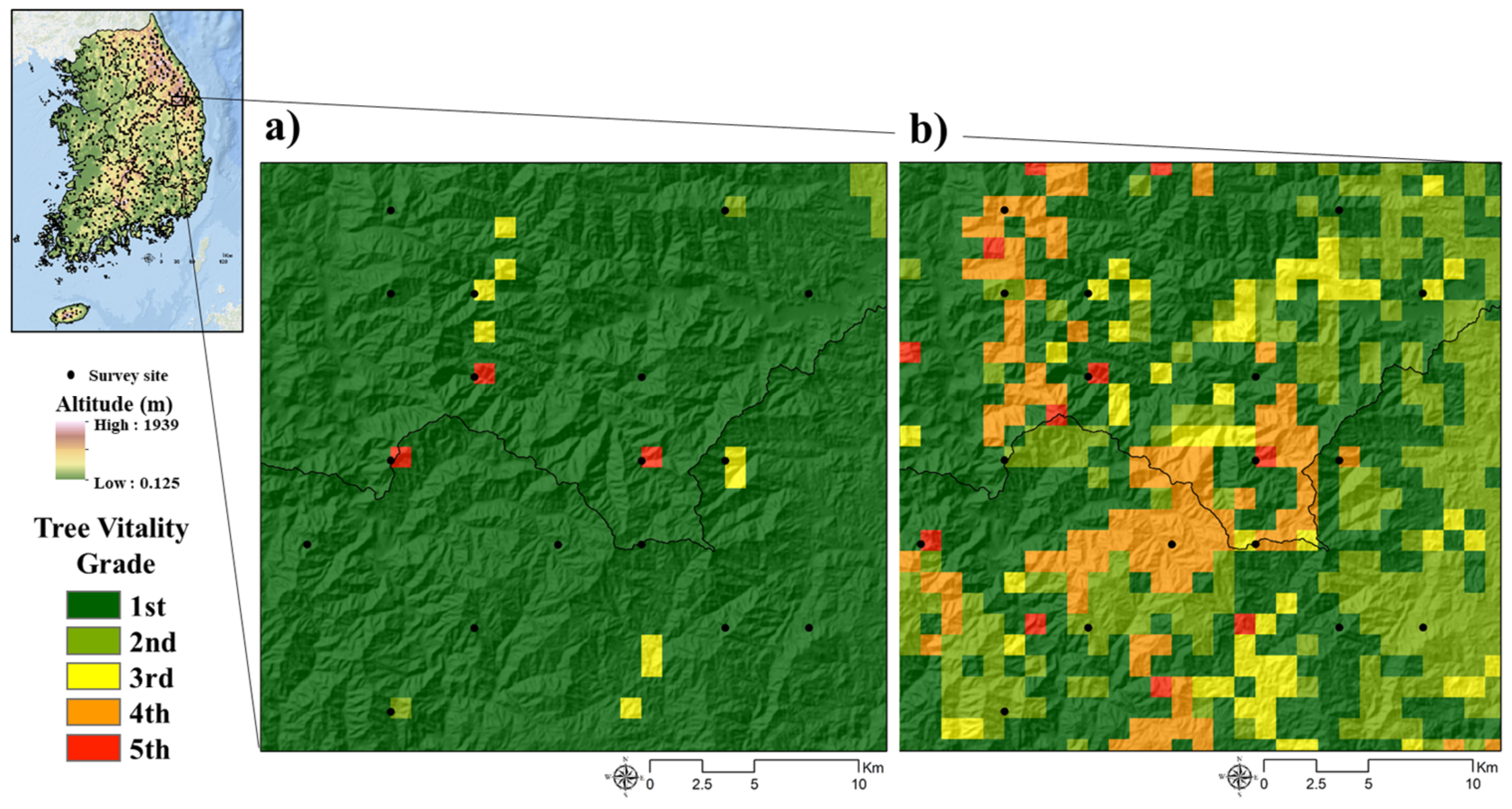 Forests 12 01009 g006