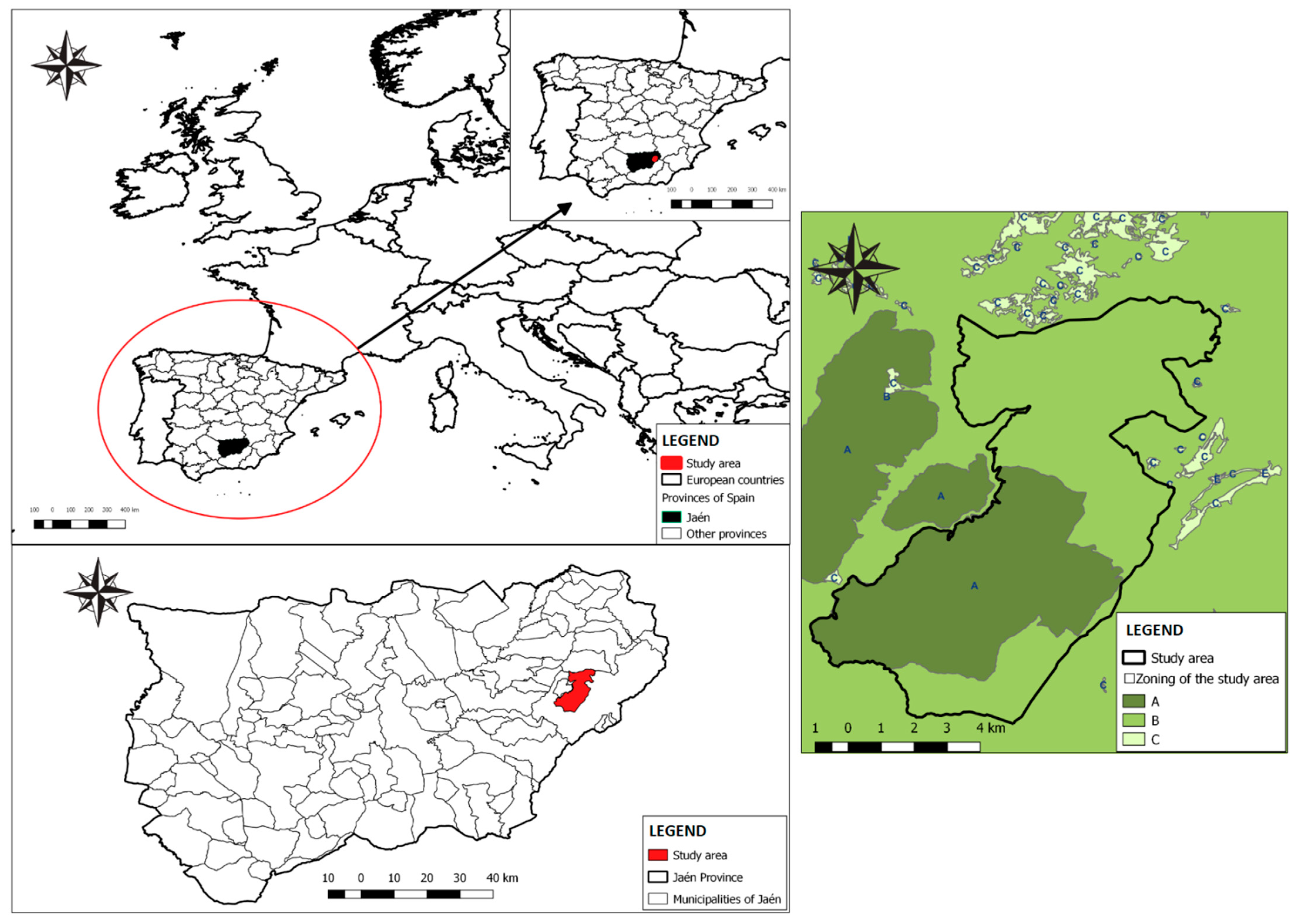 Forests 12 01011 g001 550