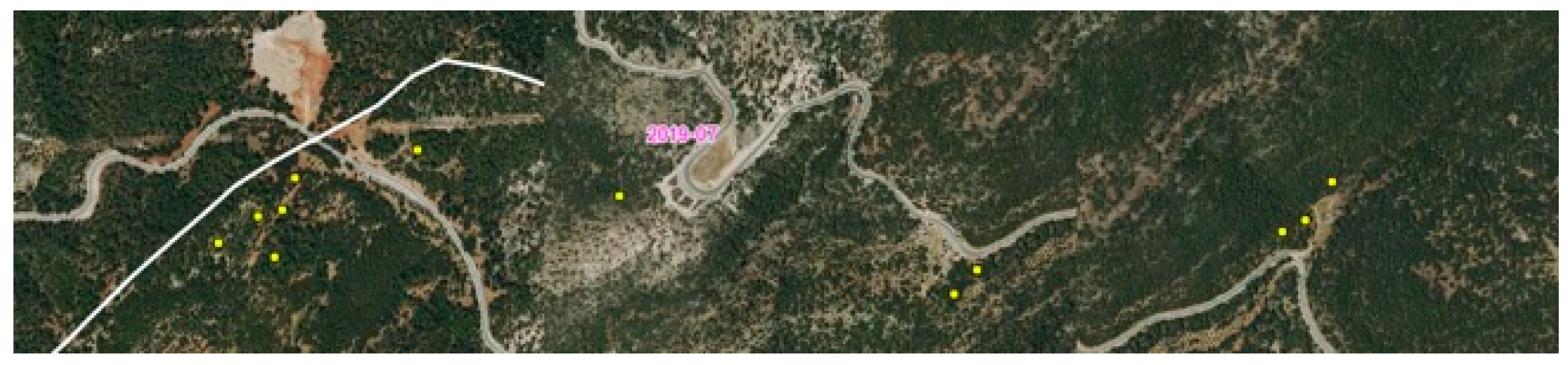 Forests 12 01011 g003 550