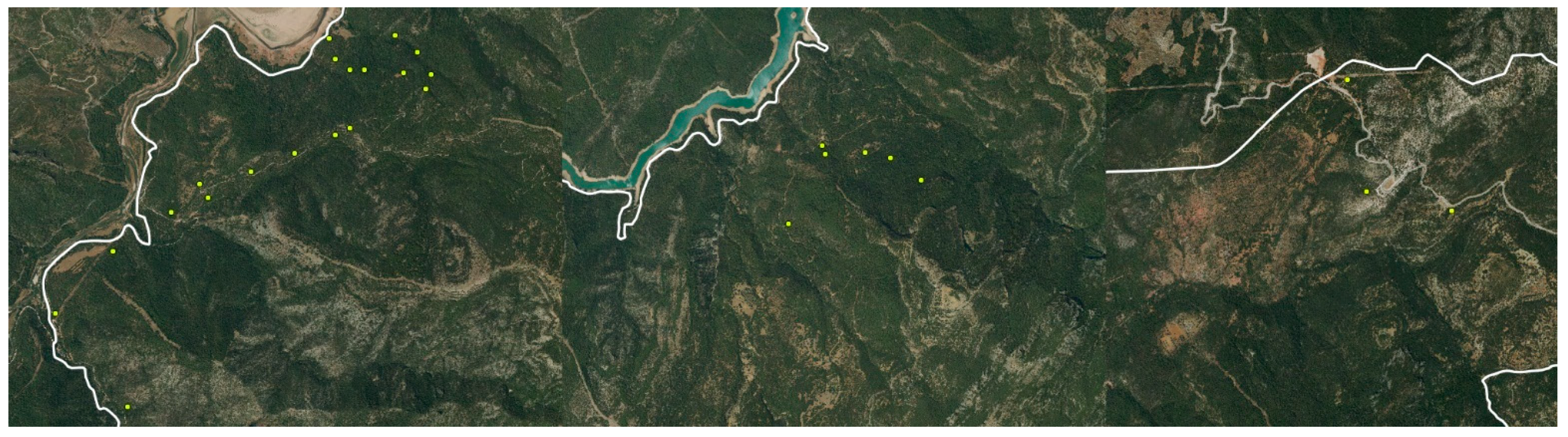 Forests 12 01011 g004 550