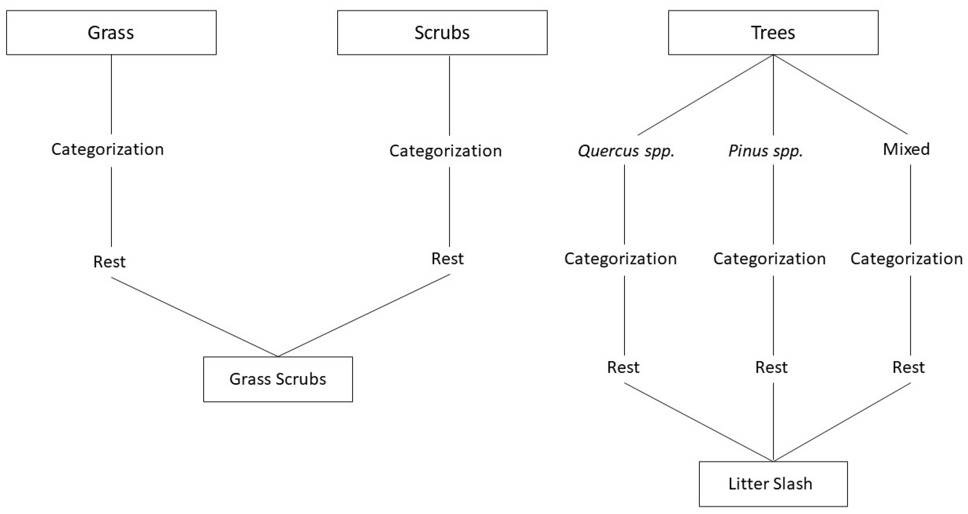 Forests 12 01011 g005 550