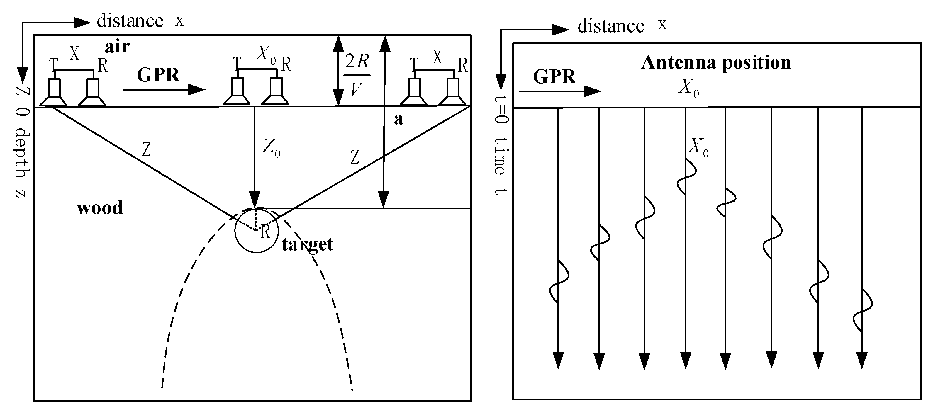 Forests 12 01012 g001