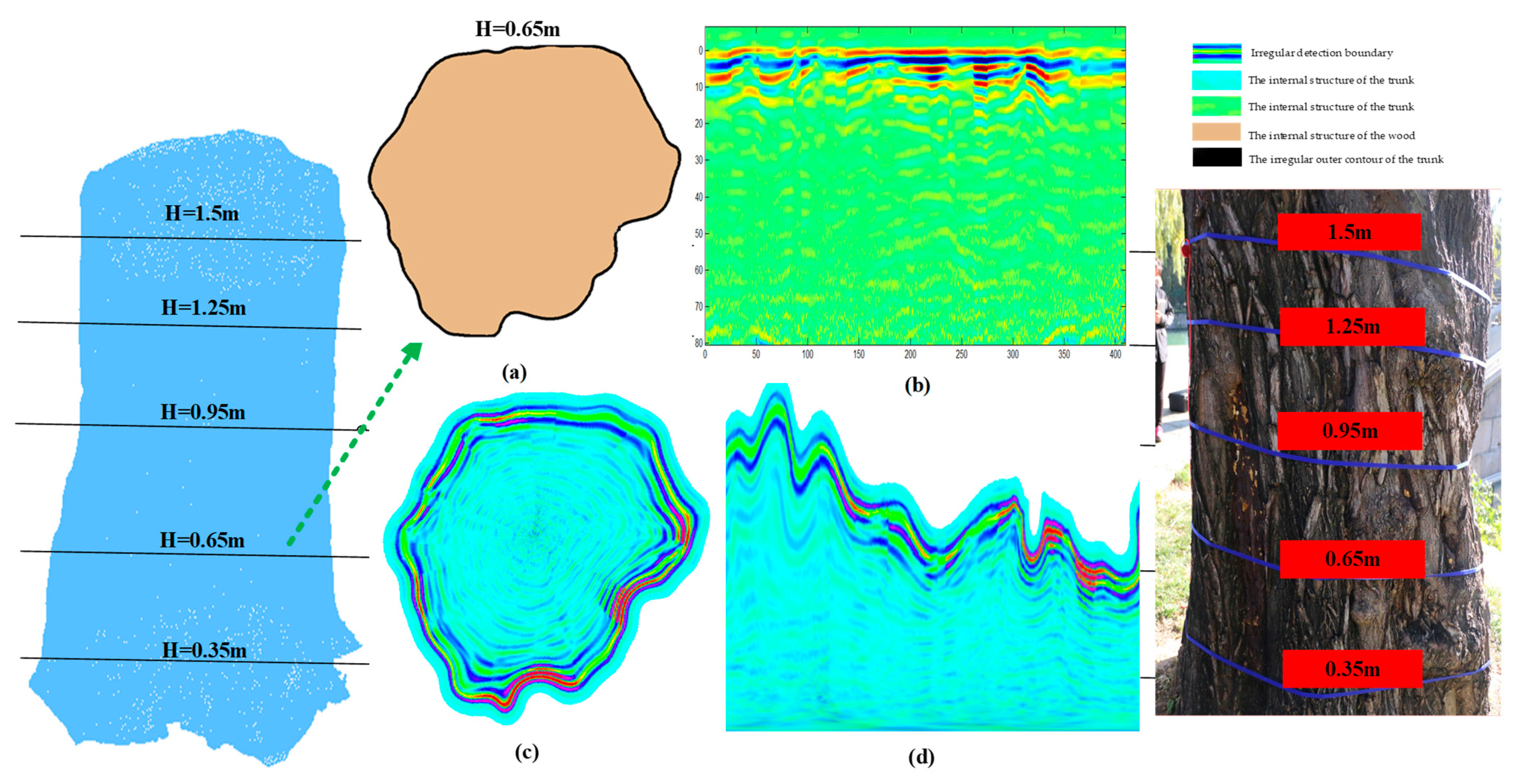 Forests 12 01012 g013