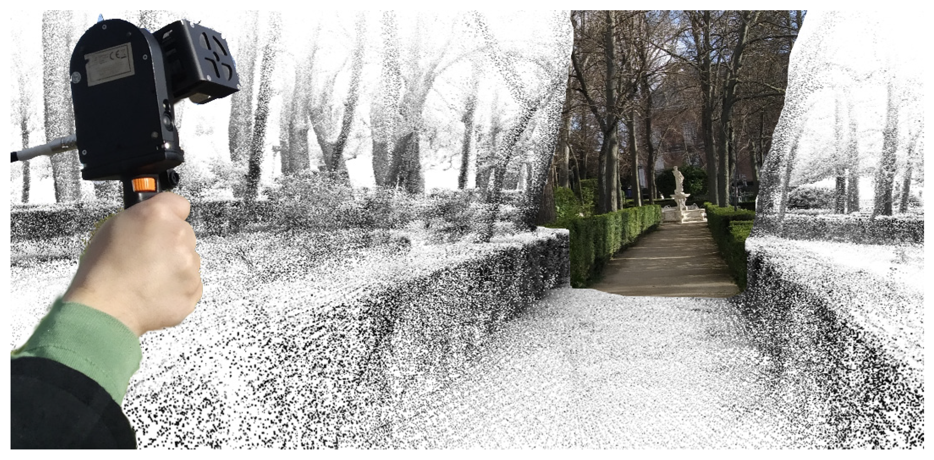 Forests 12 01013 g002 550